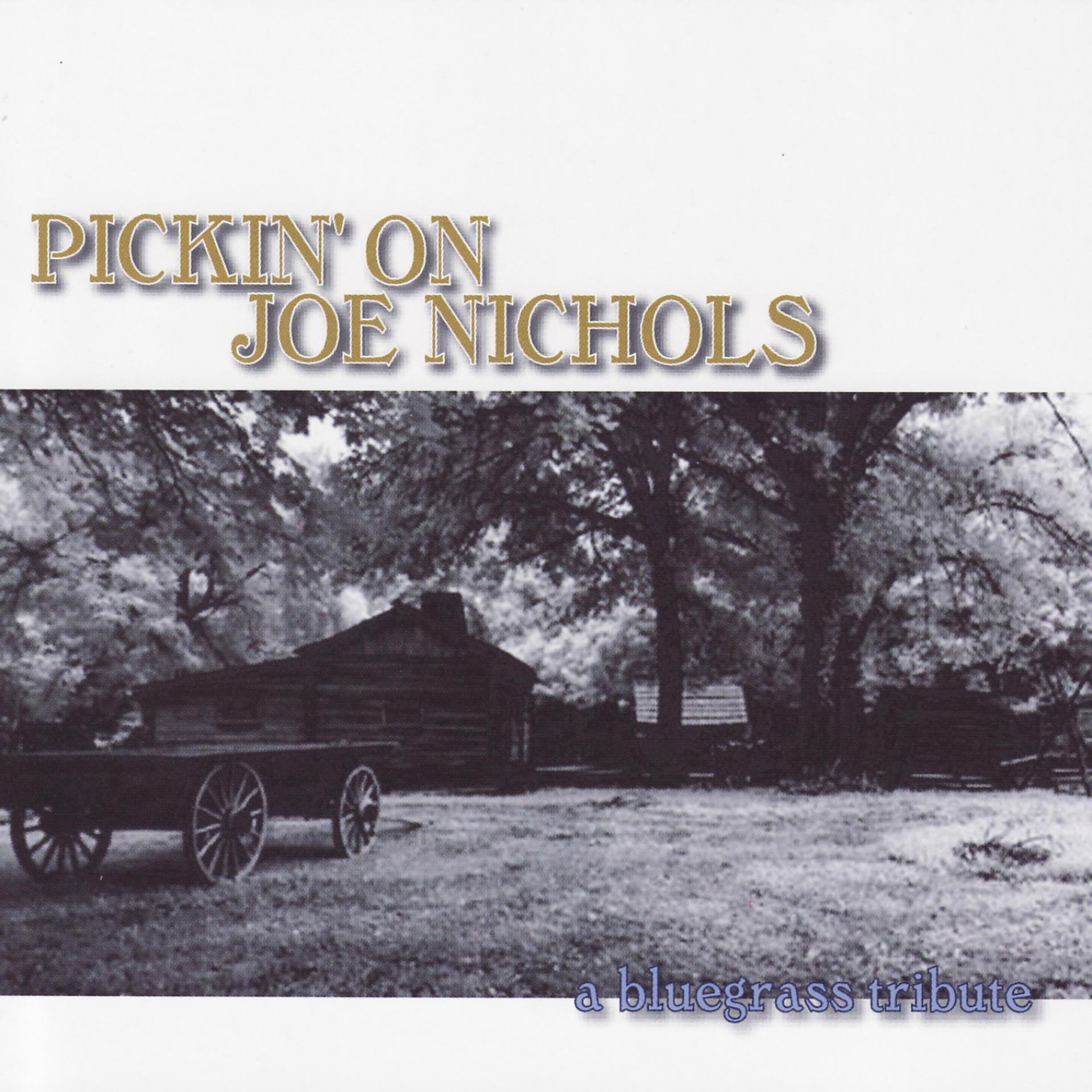 Постер альбома Pickin' On Joe Nichols: A Bluegrass Tribute