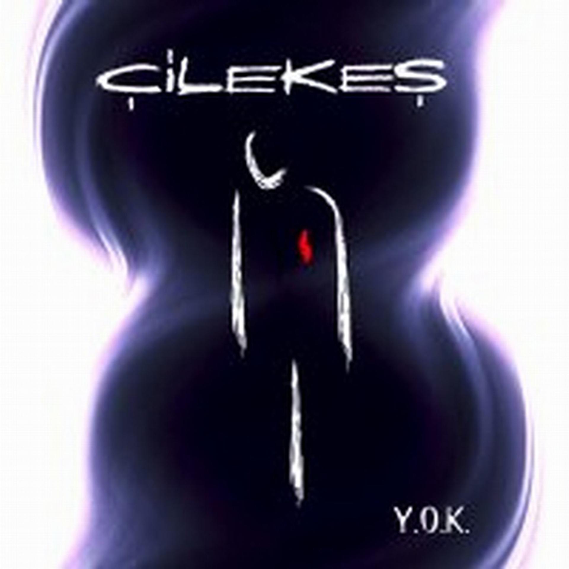 Постер альбома Y.O.K.