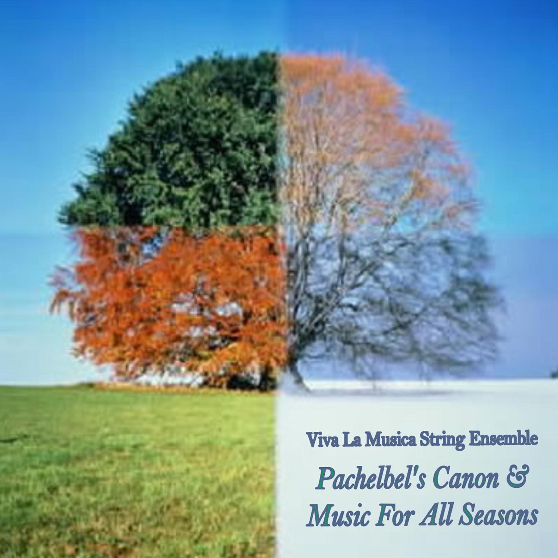 Постер альбома Pachelbel's Canon & Music for All Seasons