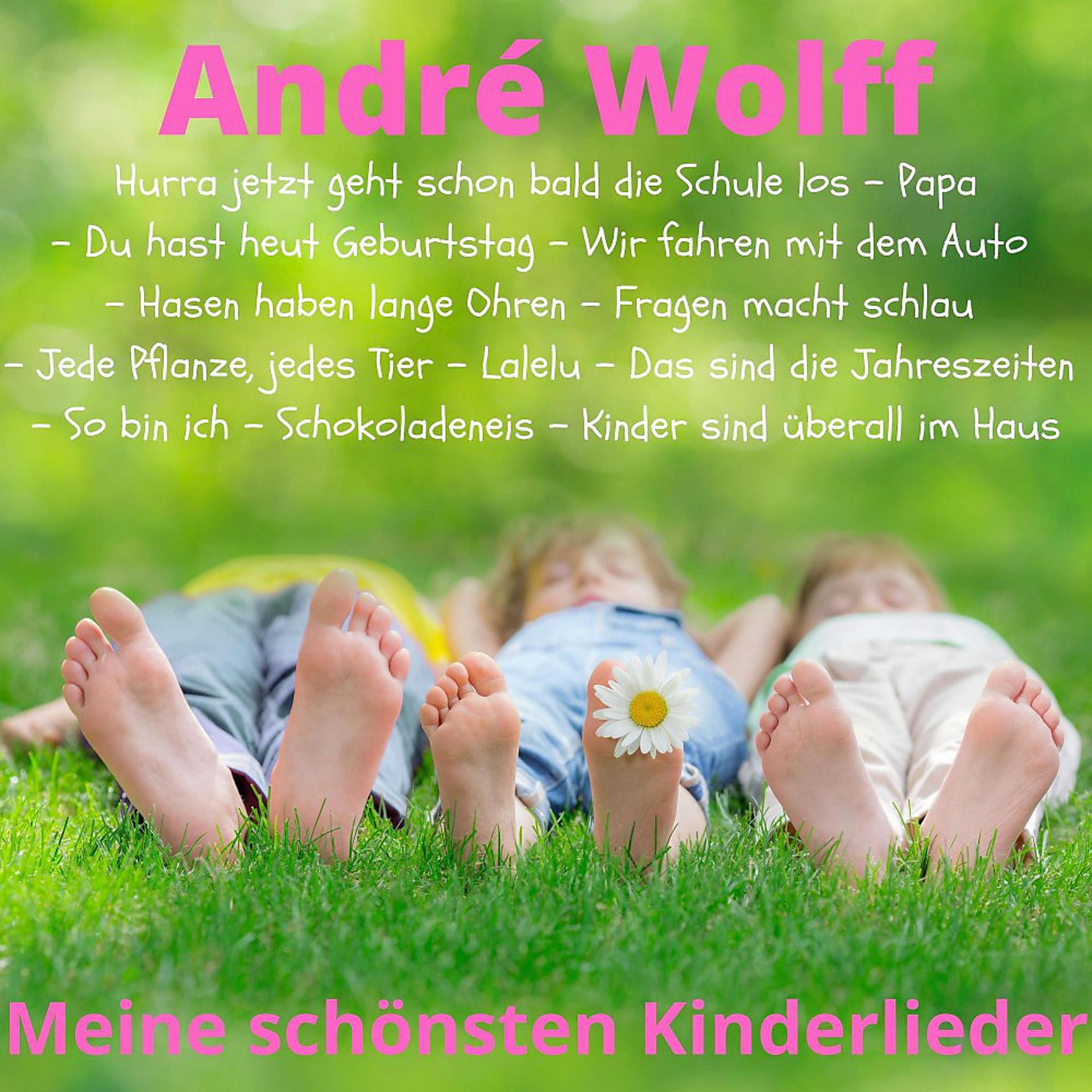 Постер альбома Meine schönsten Kinderlieder
