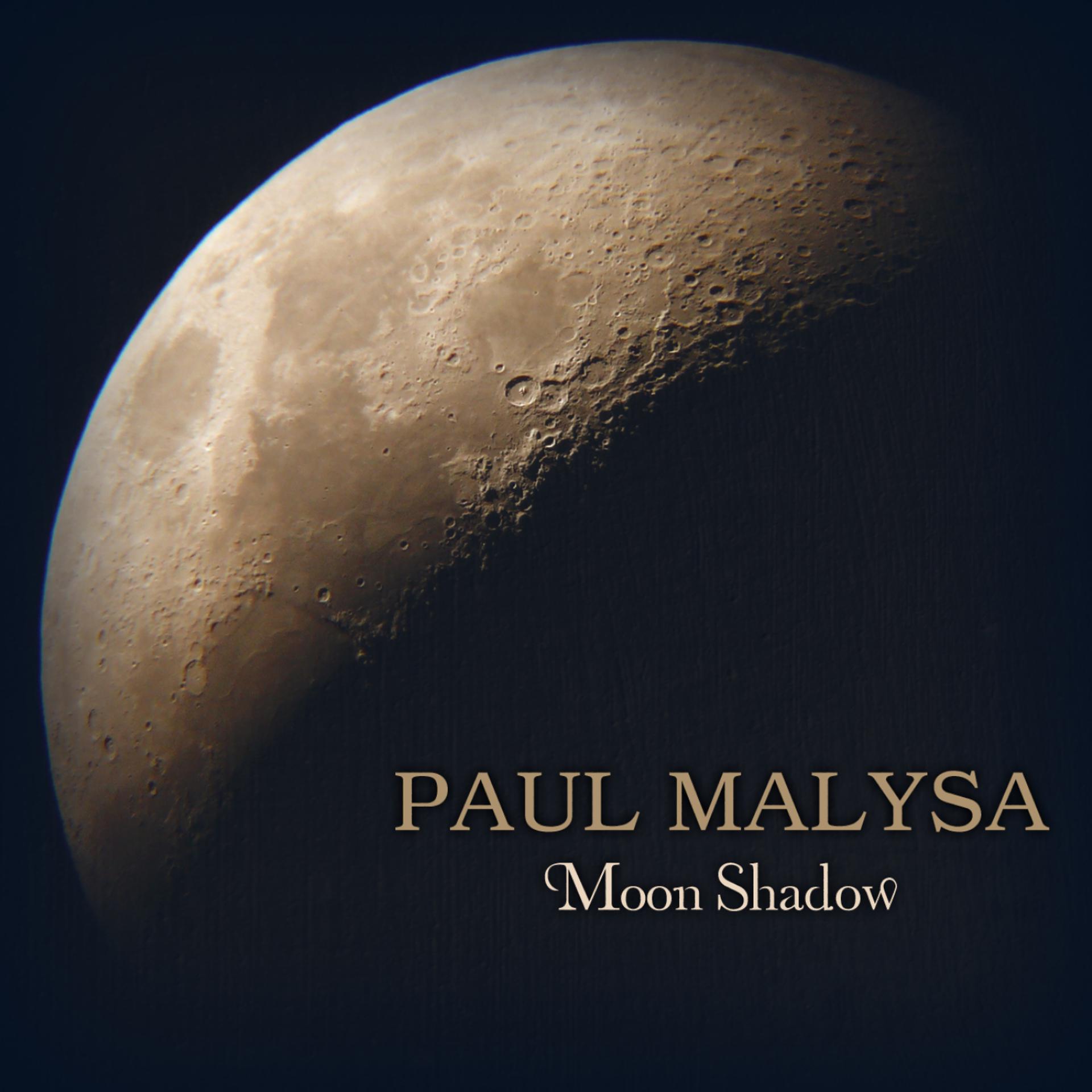 Постер альбома Moonshadow