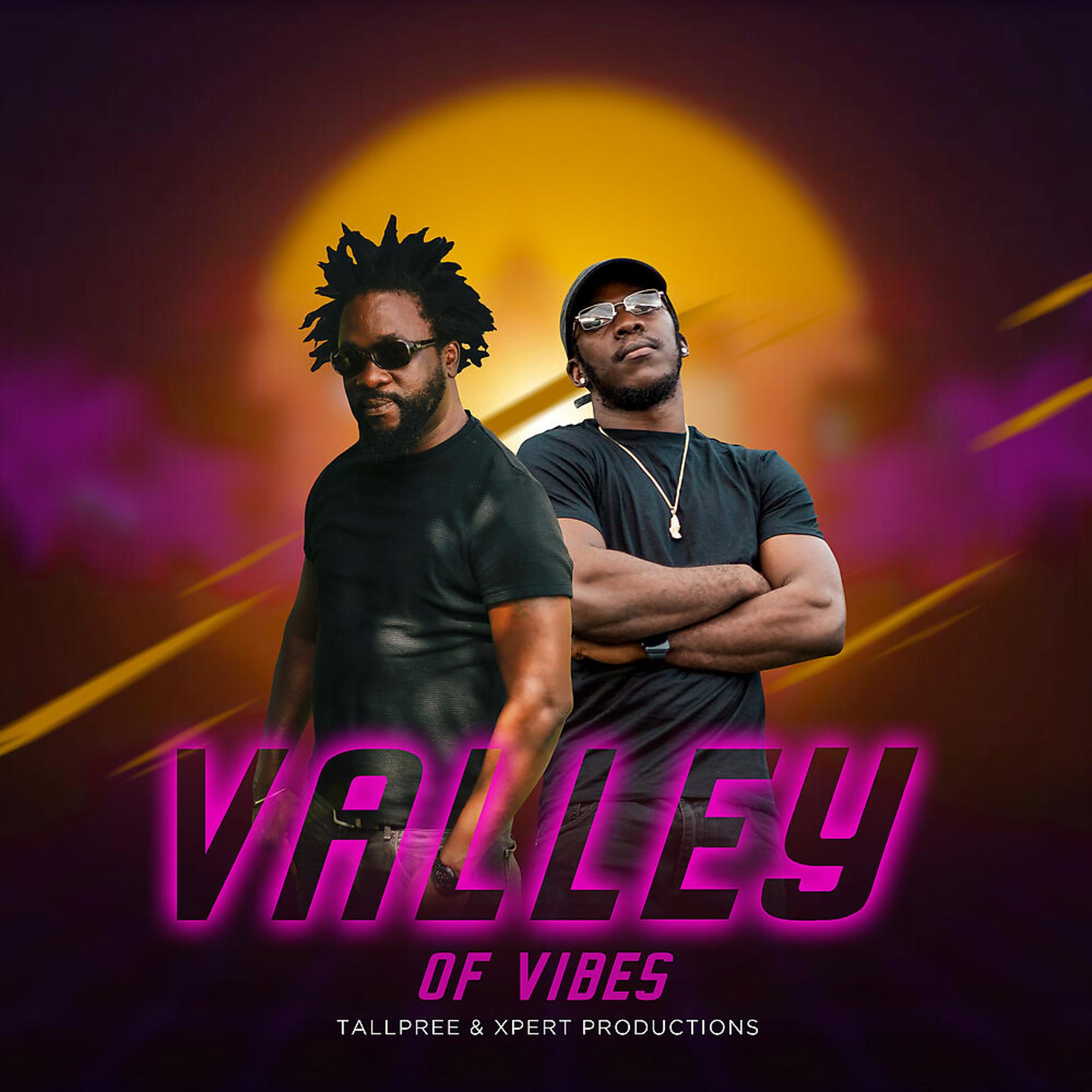 Постер альбома Valley of Vibes