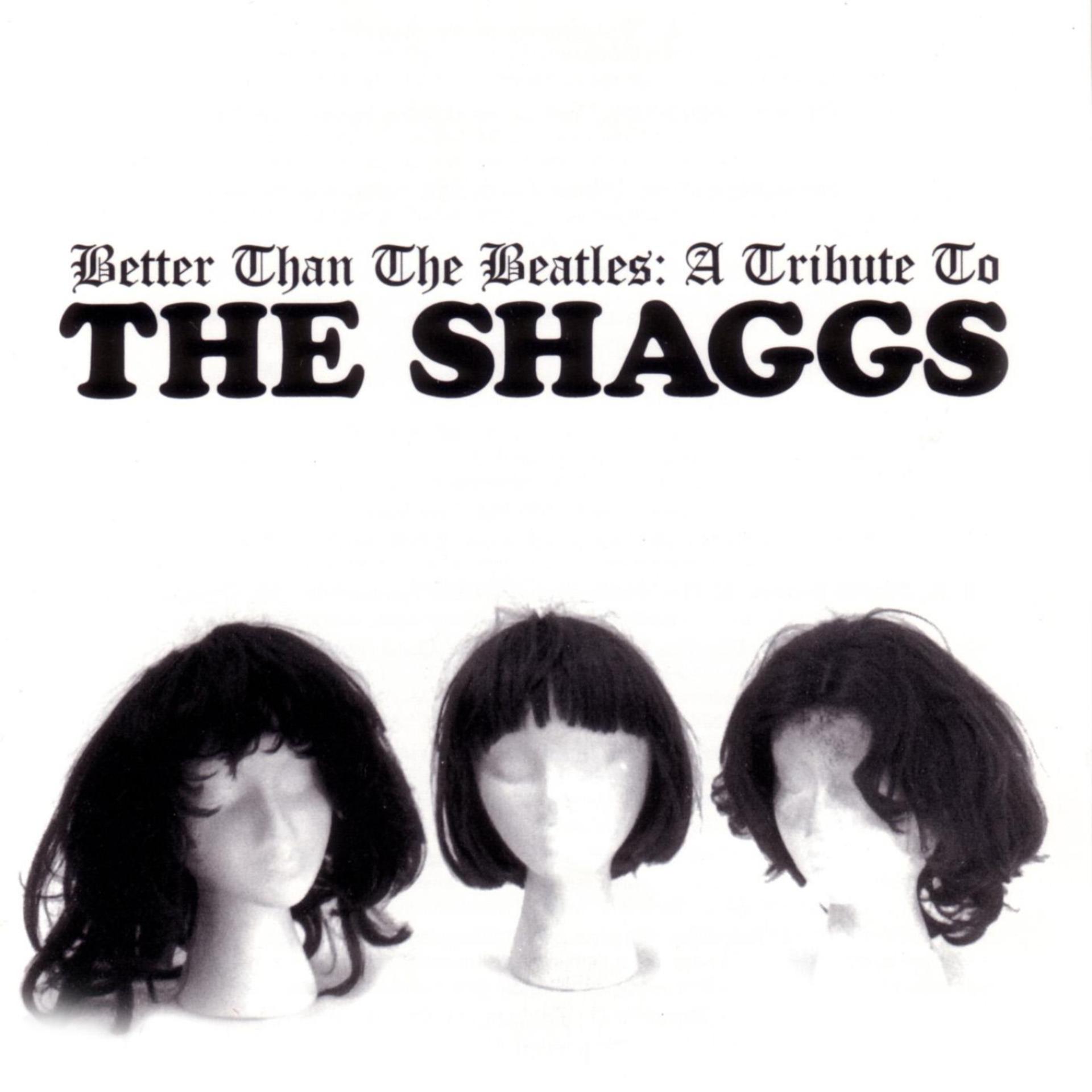 Постер альбома Better Than the Beatles: a Tribute to the Shaggs