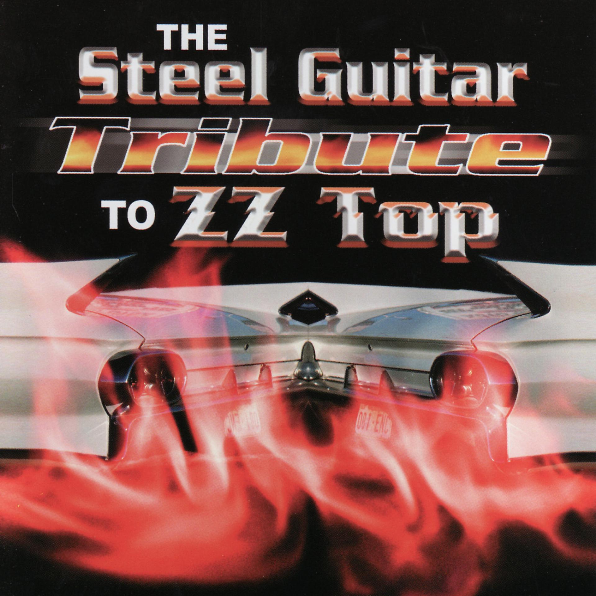 Постер альбома The Steel Guitar Tribute To ZZ Top