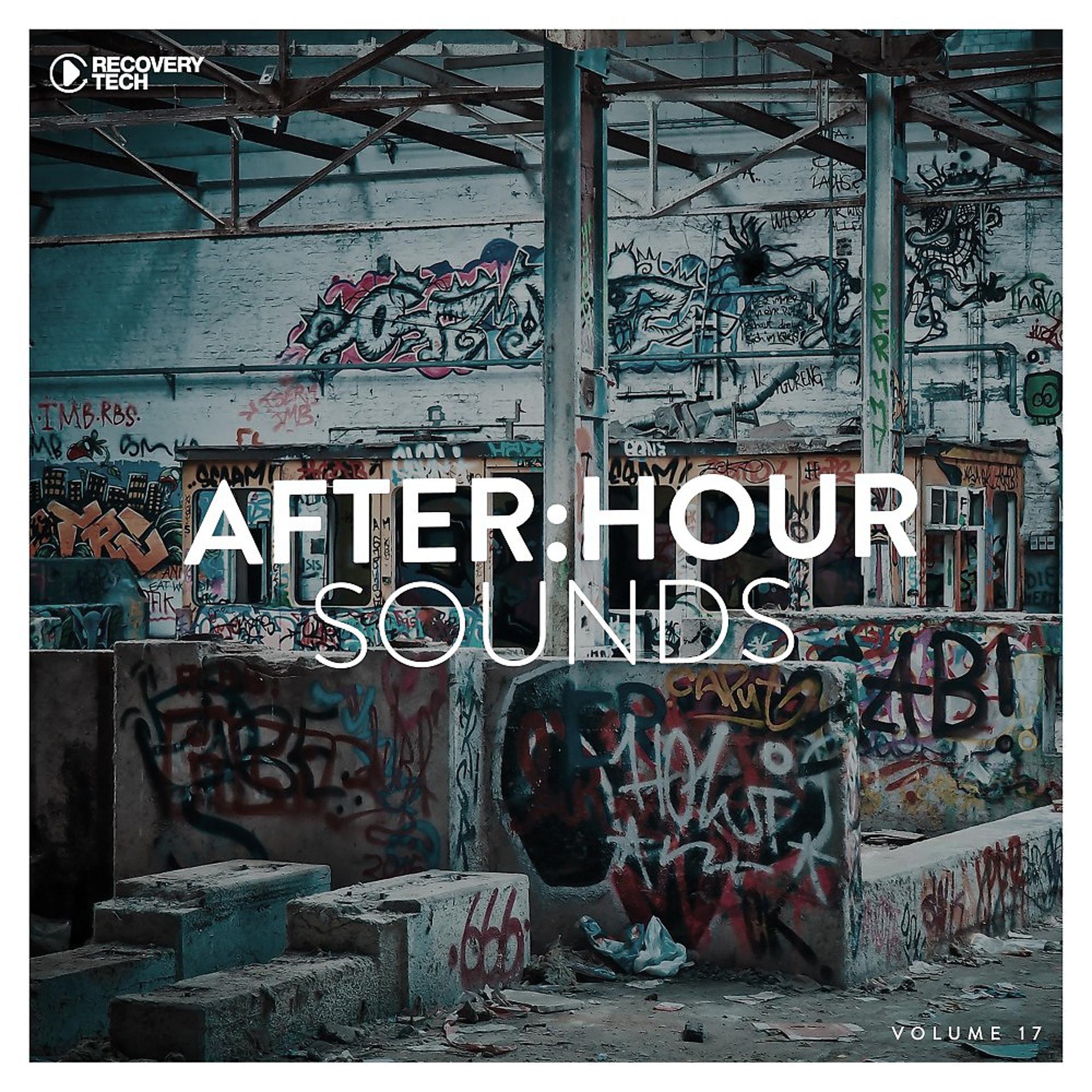 Постер альбома After:Hour Sounds, Vol. 17