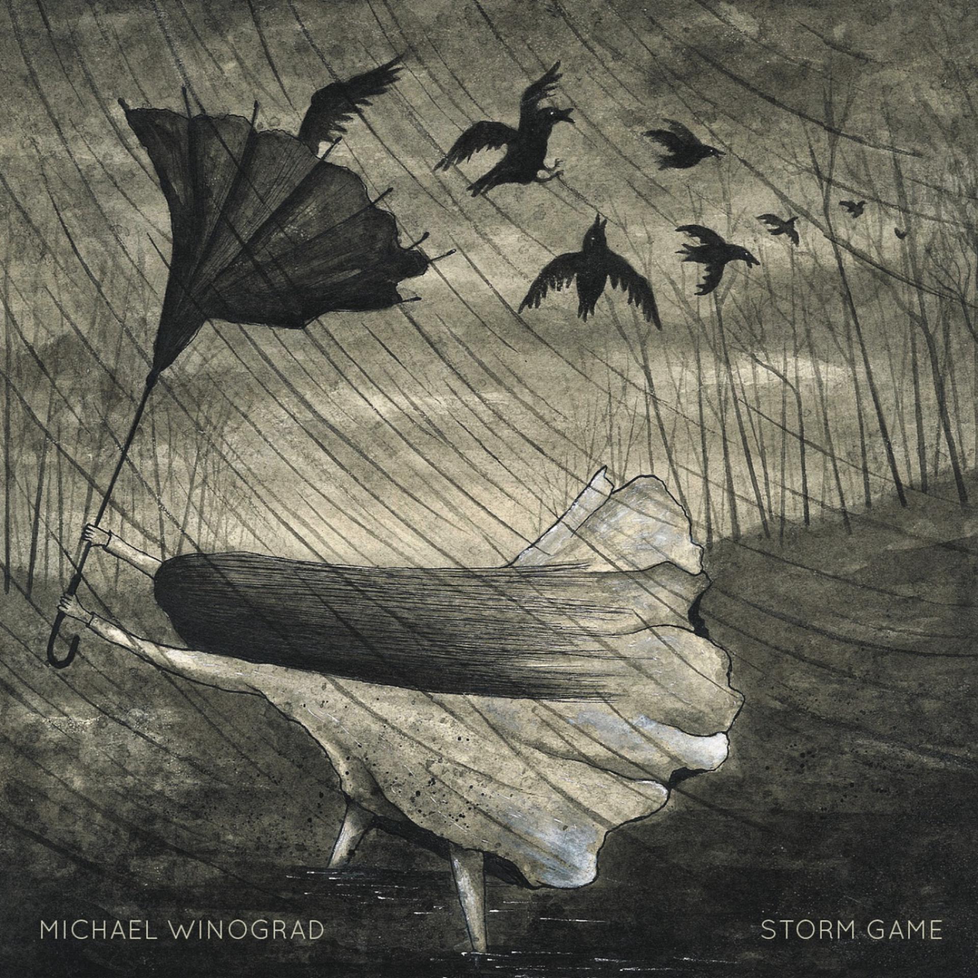 Постер альбома Storm Game