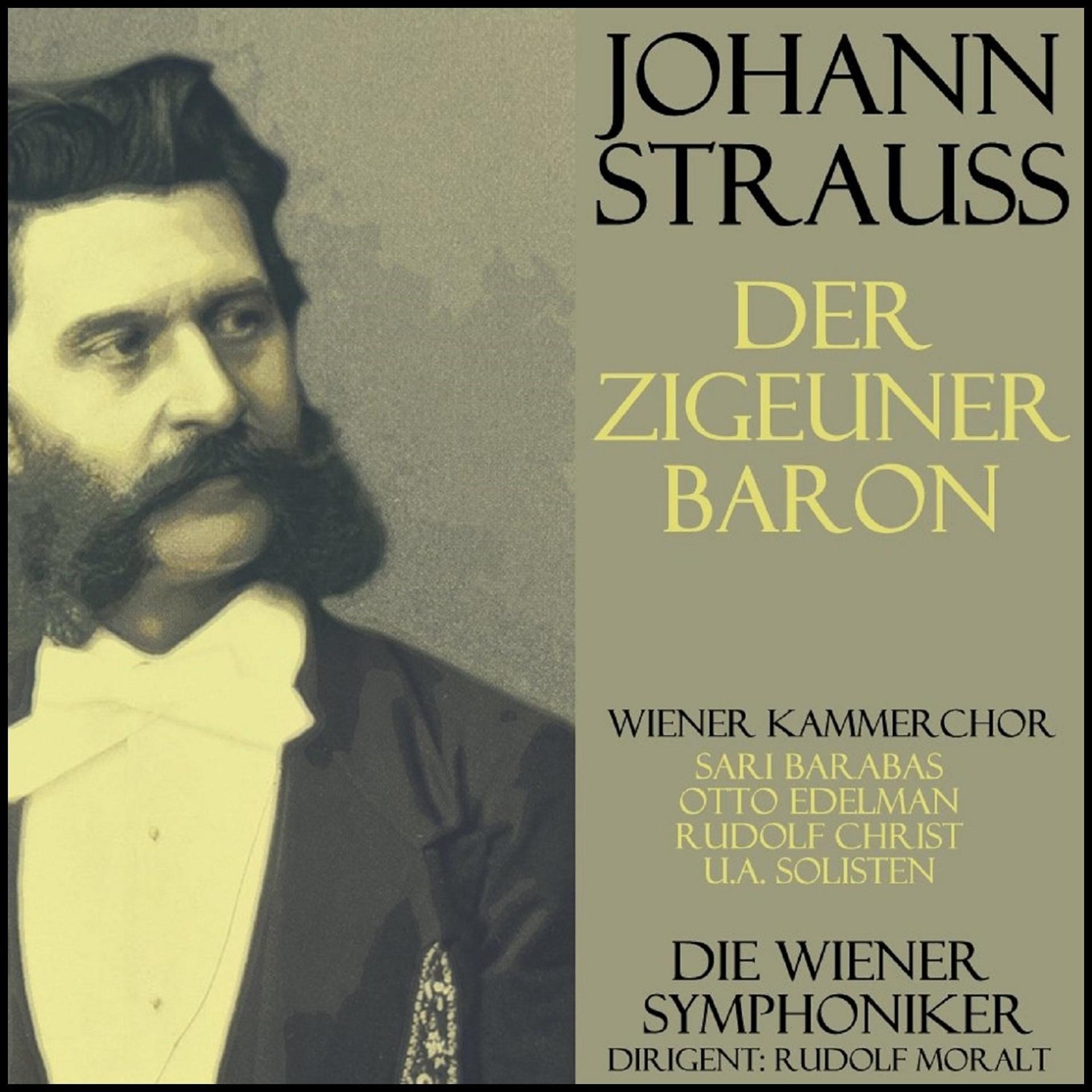 Постер альбома Der Zigeunerbaron