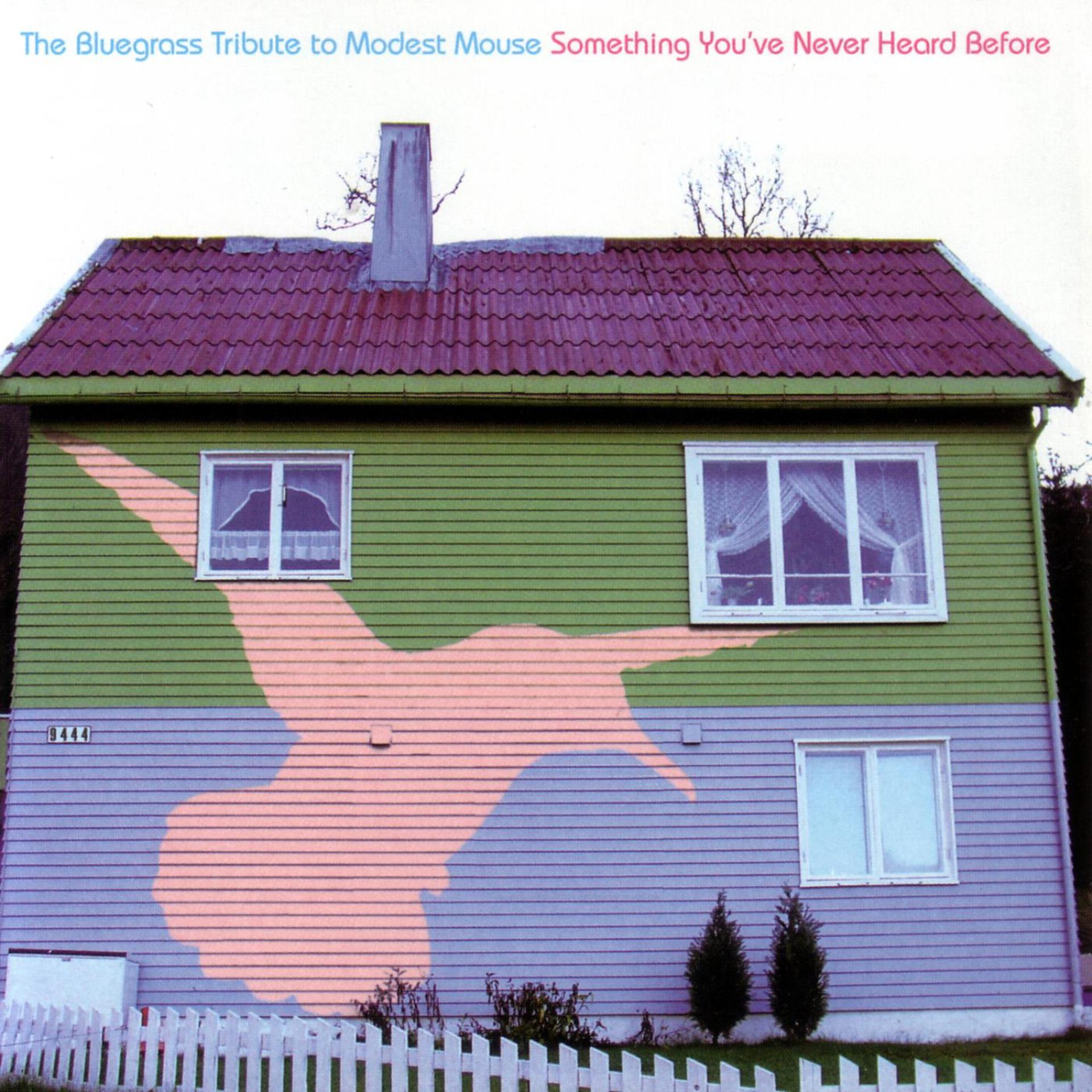 Постер альбома The Bluegrass Tribute to Modest Mouse: Something You've Never Heard Before
