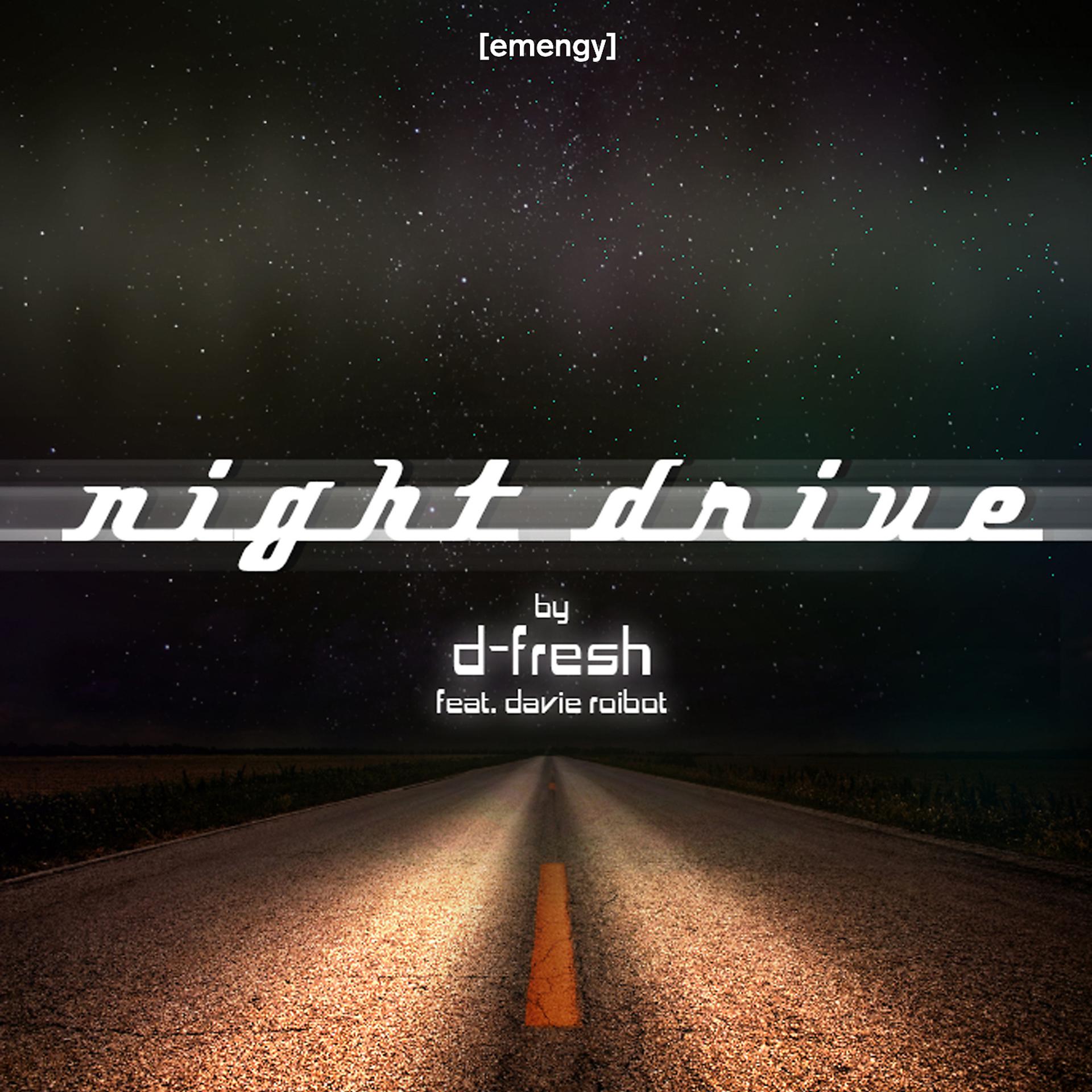 Постер альбома Night Drive (feat. Davie Roibot)