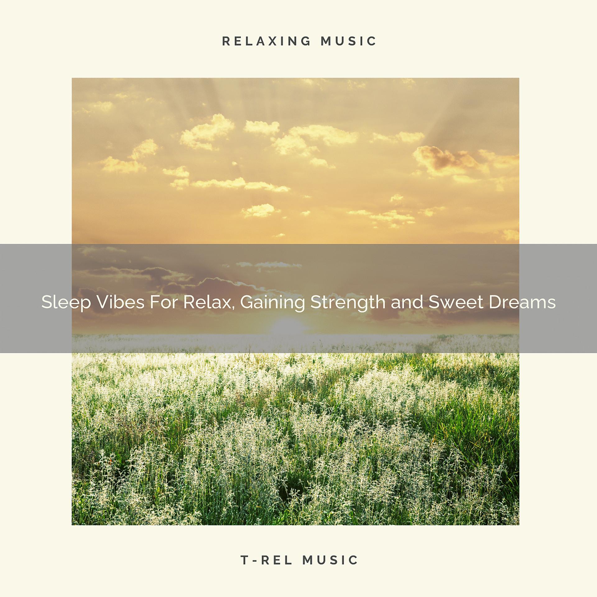 Постер альбома Sleep Vibes For Relax, Gaining Strength and Sweet Dreams
