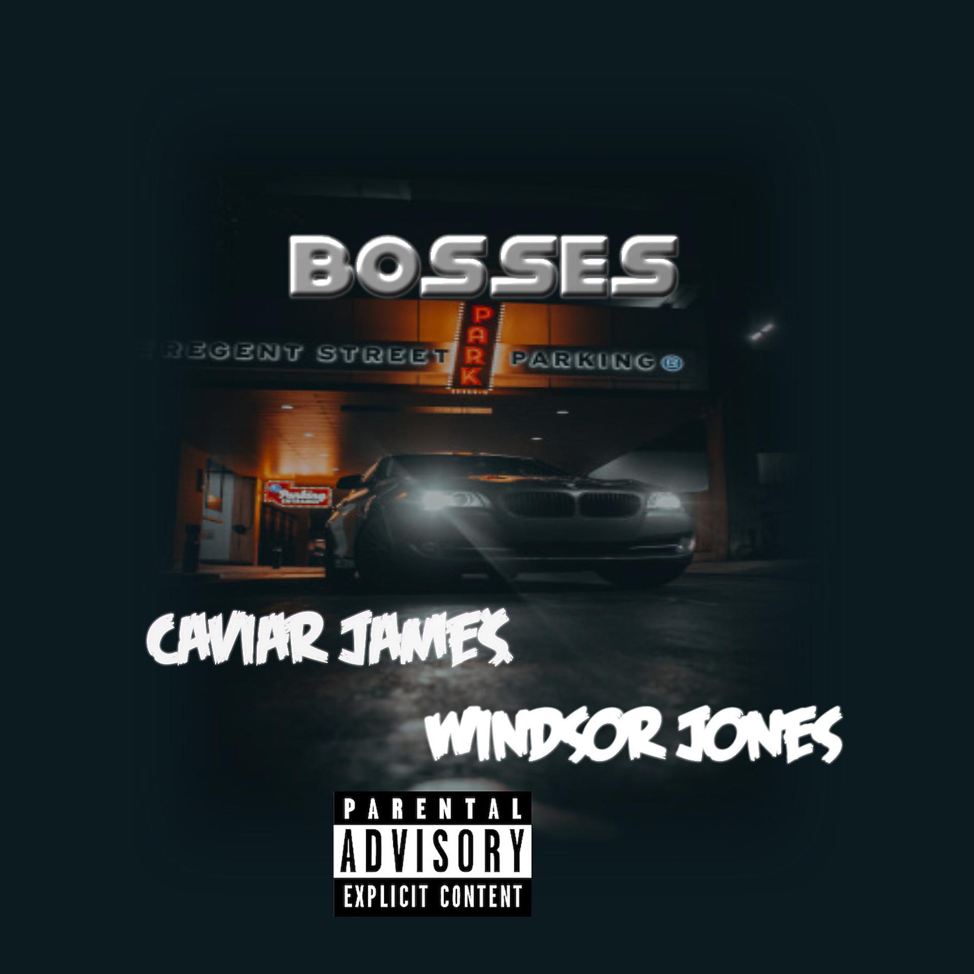 Постер альбома Bosses
