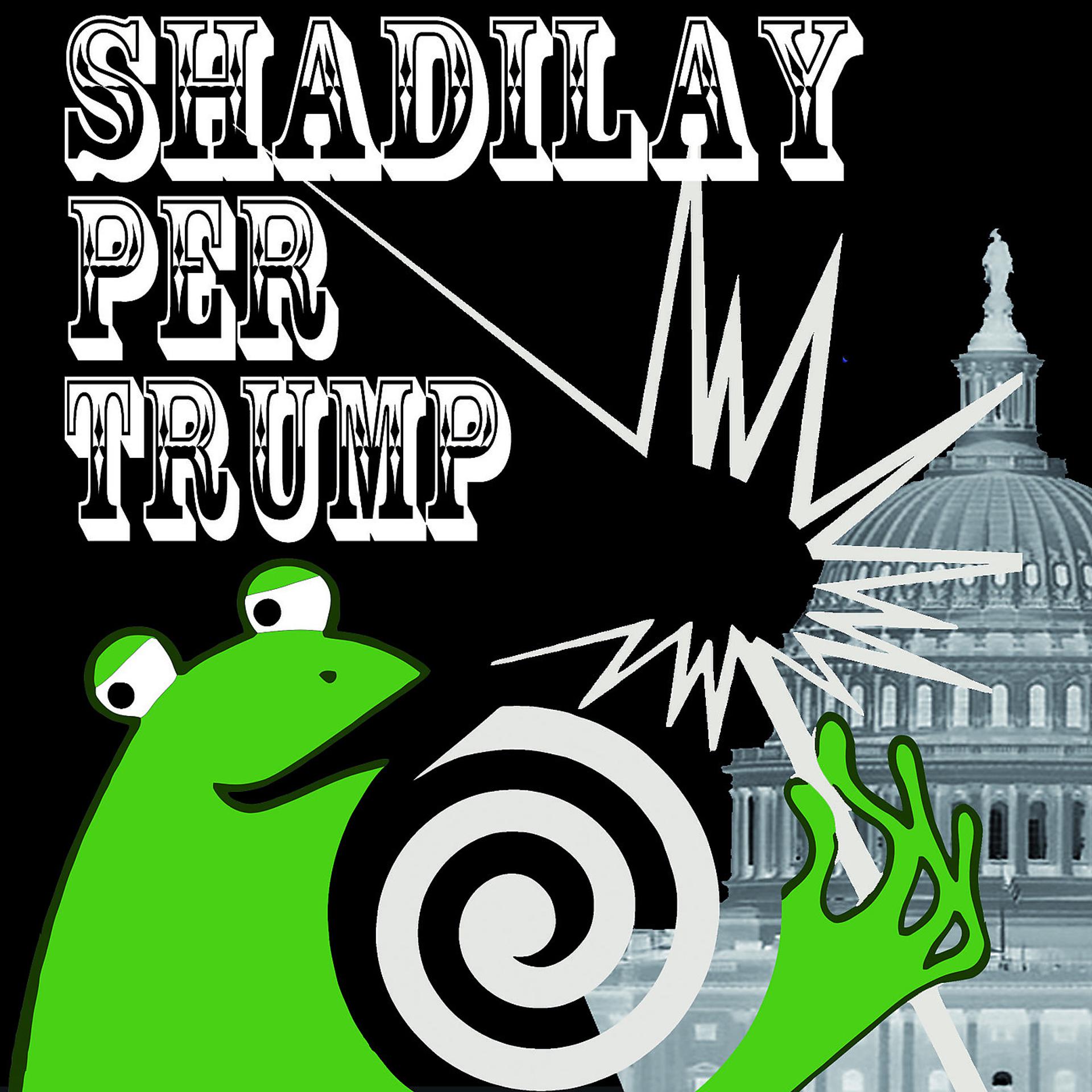 Постер альбома Shadilay per Trump
