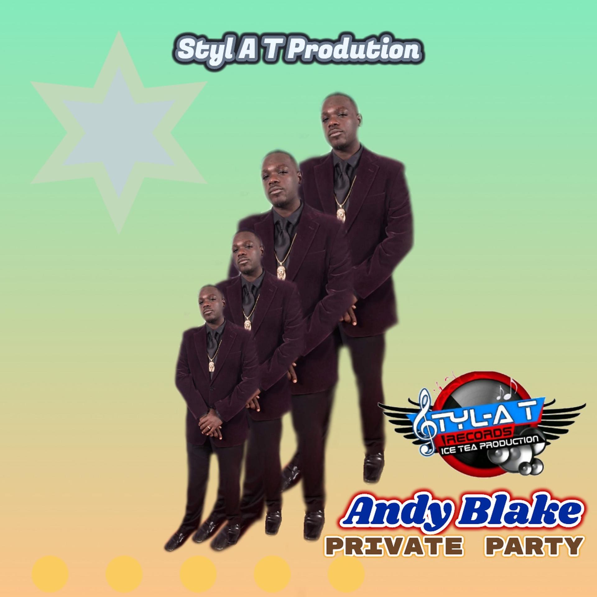 Постер альбома Private Party