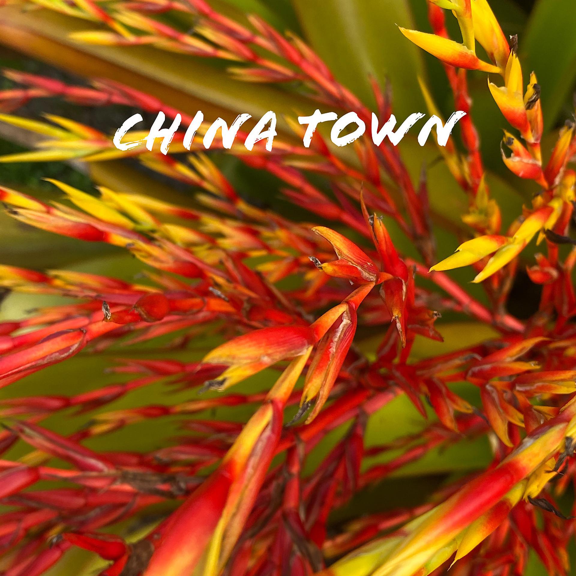 Постер альбома China Town