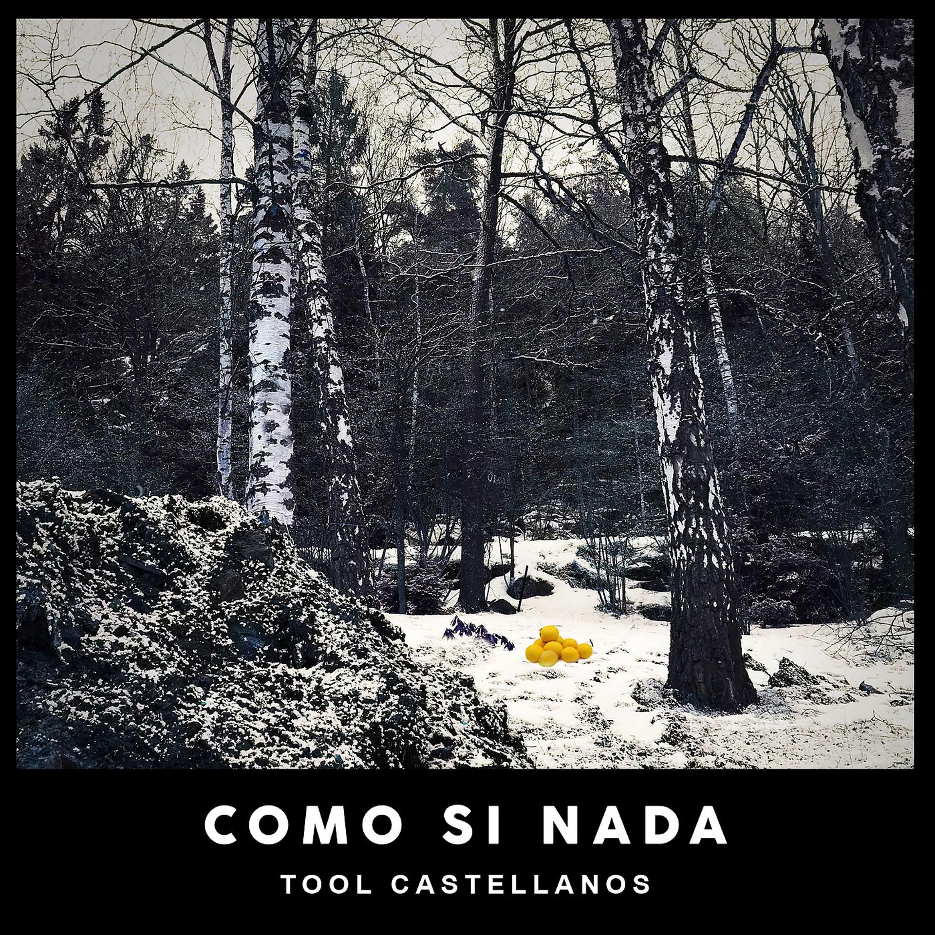 Постер альбома Como Si Nada
