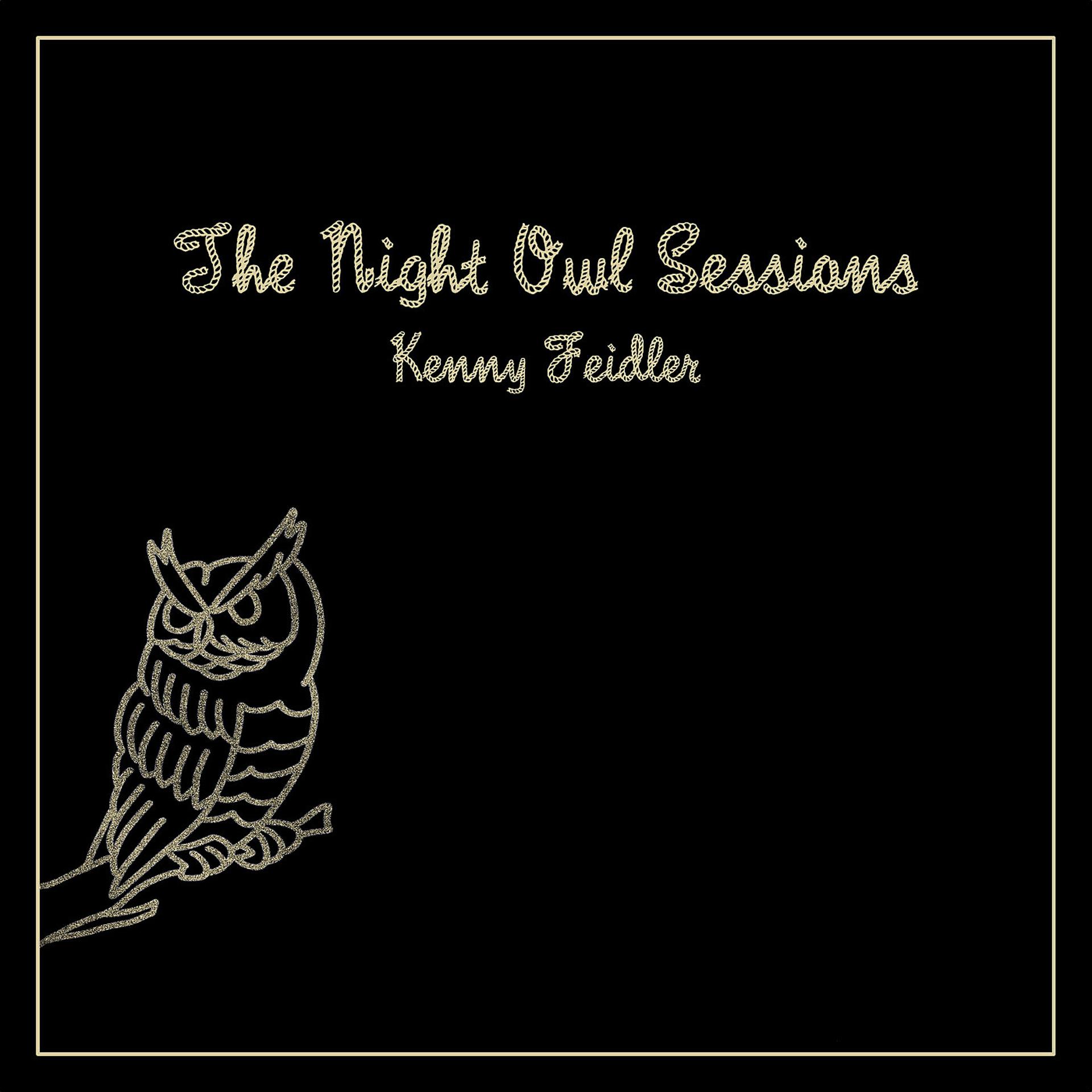 Постер альбома The Night Owl Sessions
