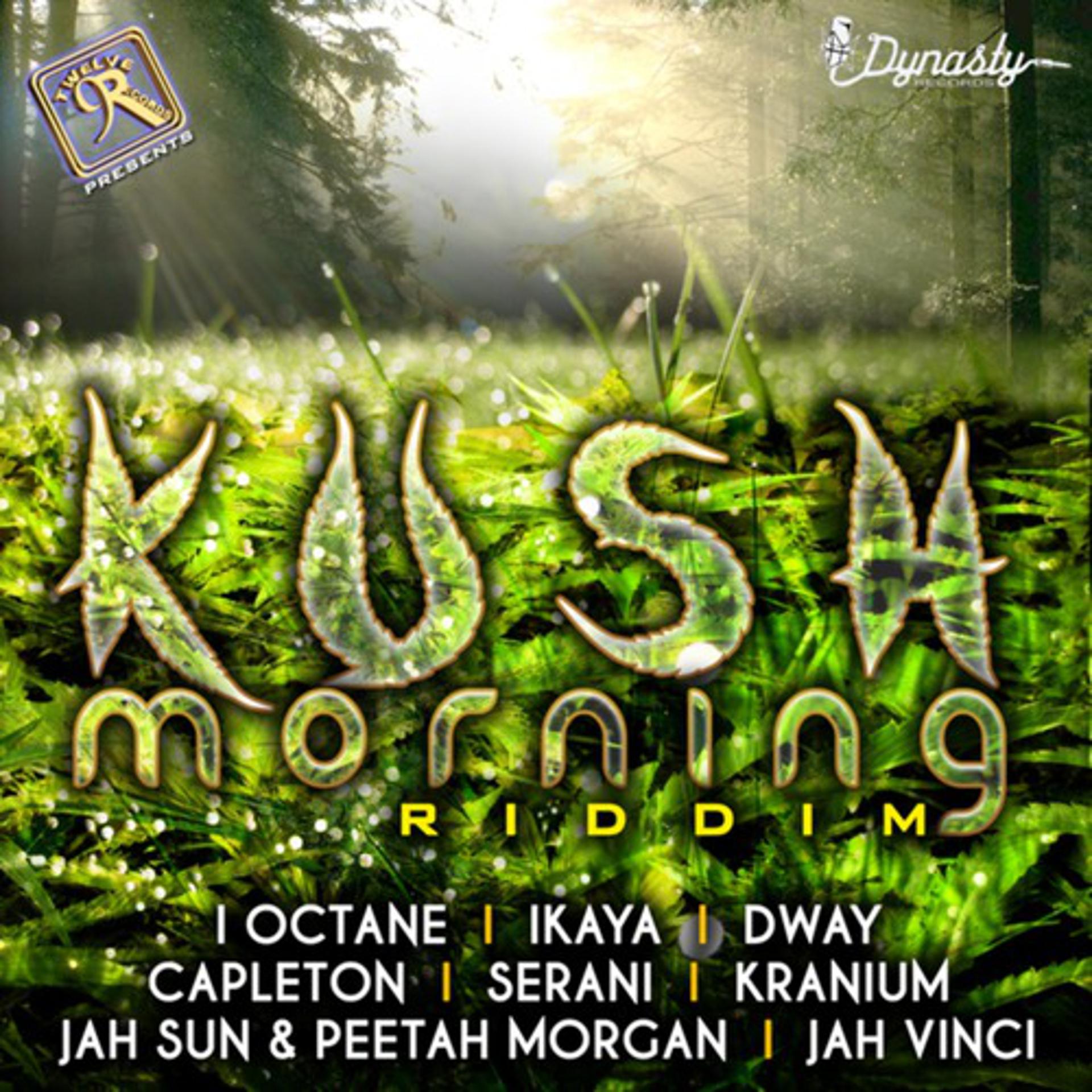 Постер альбома Kush Morning Riddim