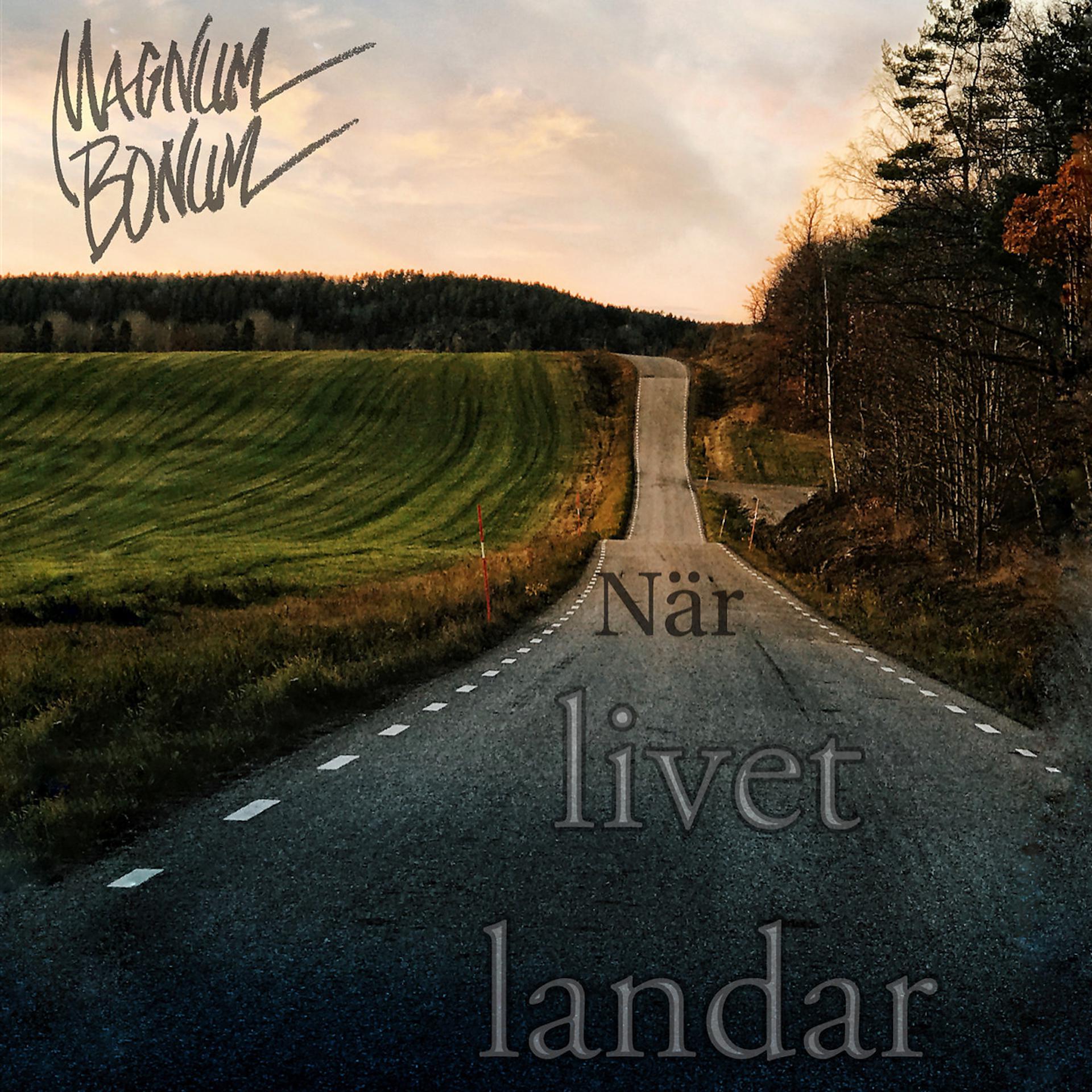 Постер альбома När Livet Landar