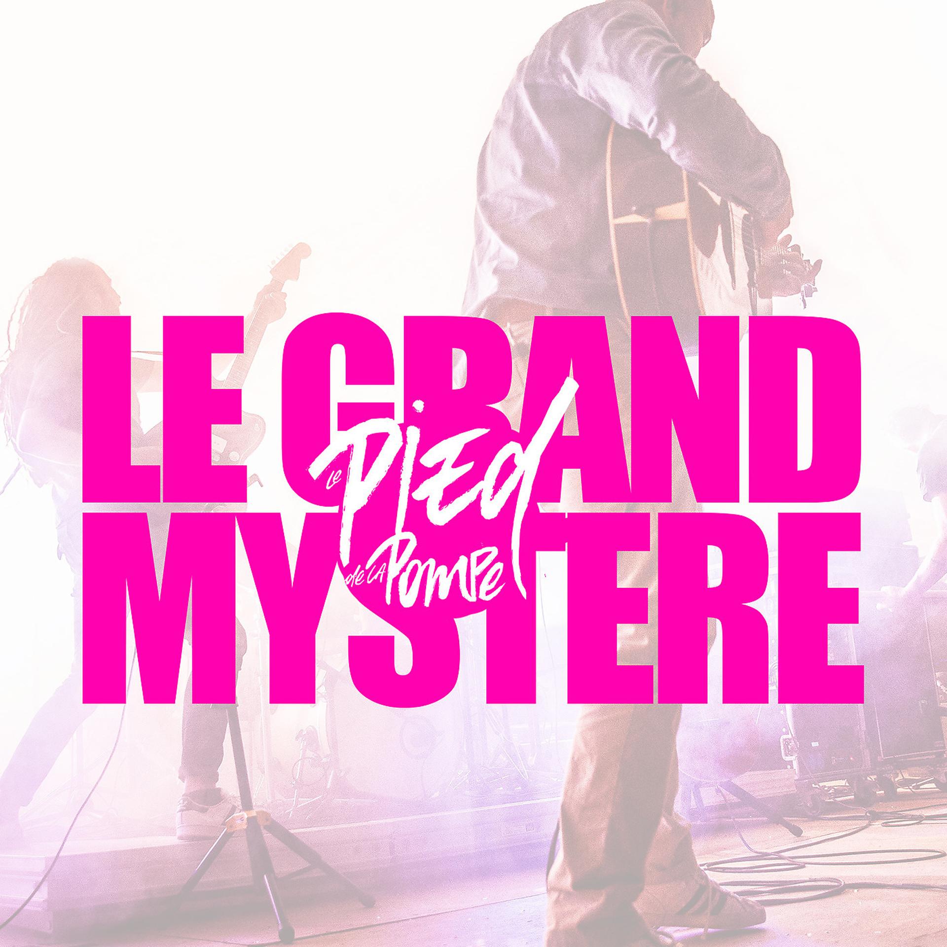 Постер альбома Le grand mystère