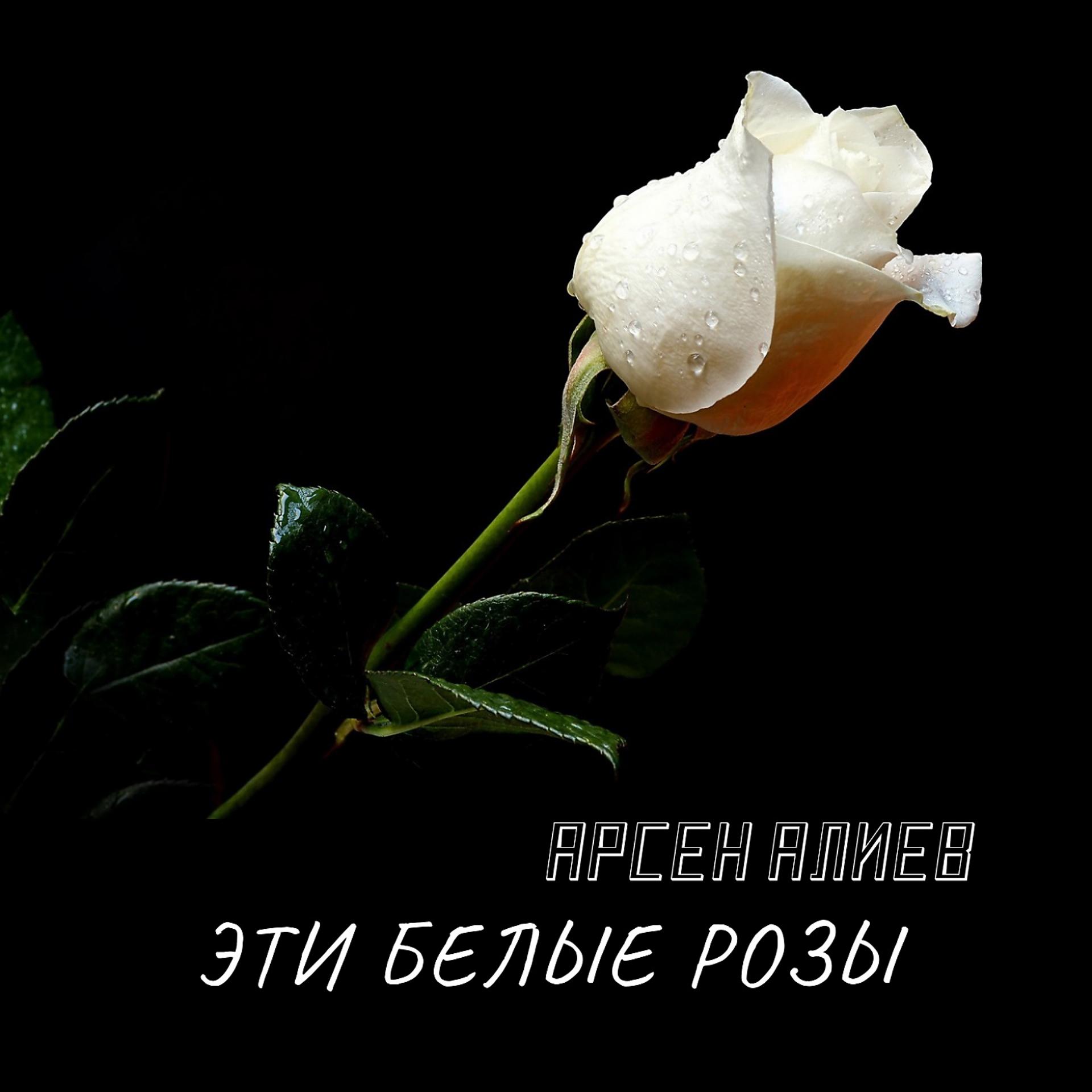 Постер альбома Эти белые розы