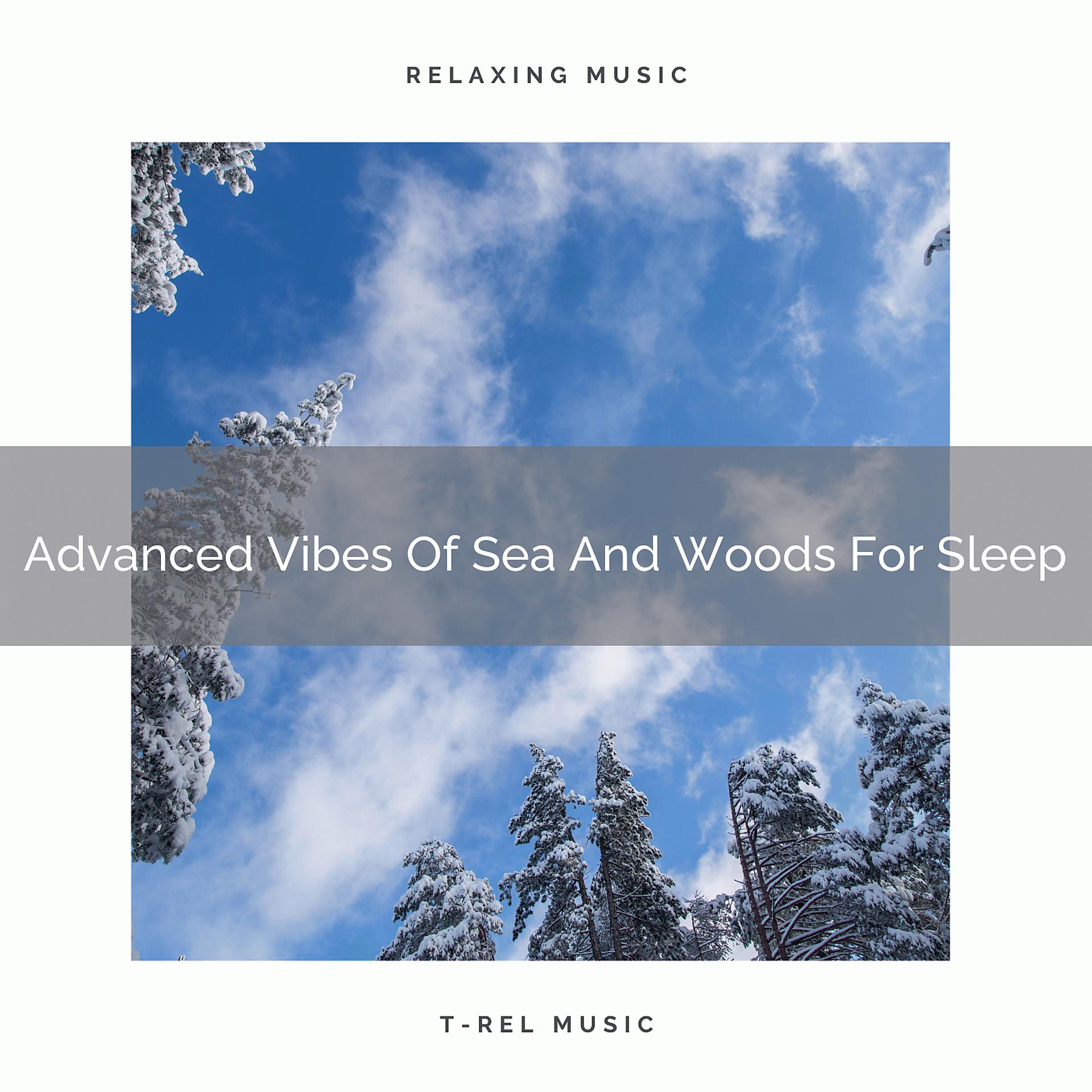 Постер альбома Advanced Vibes Of Sea And Woods For Sleep