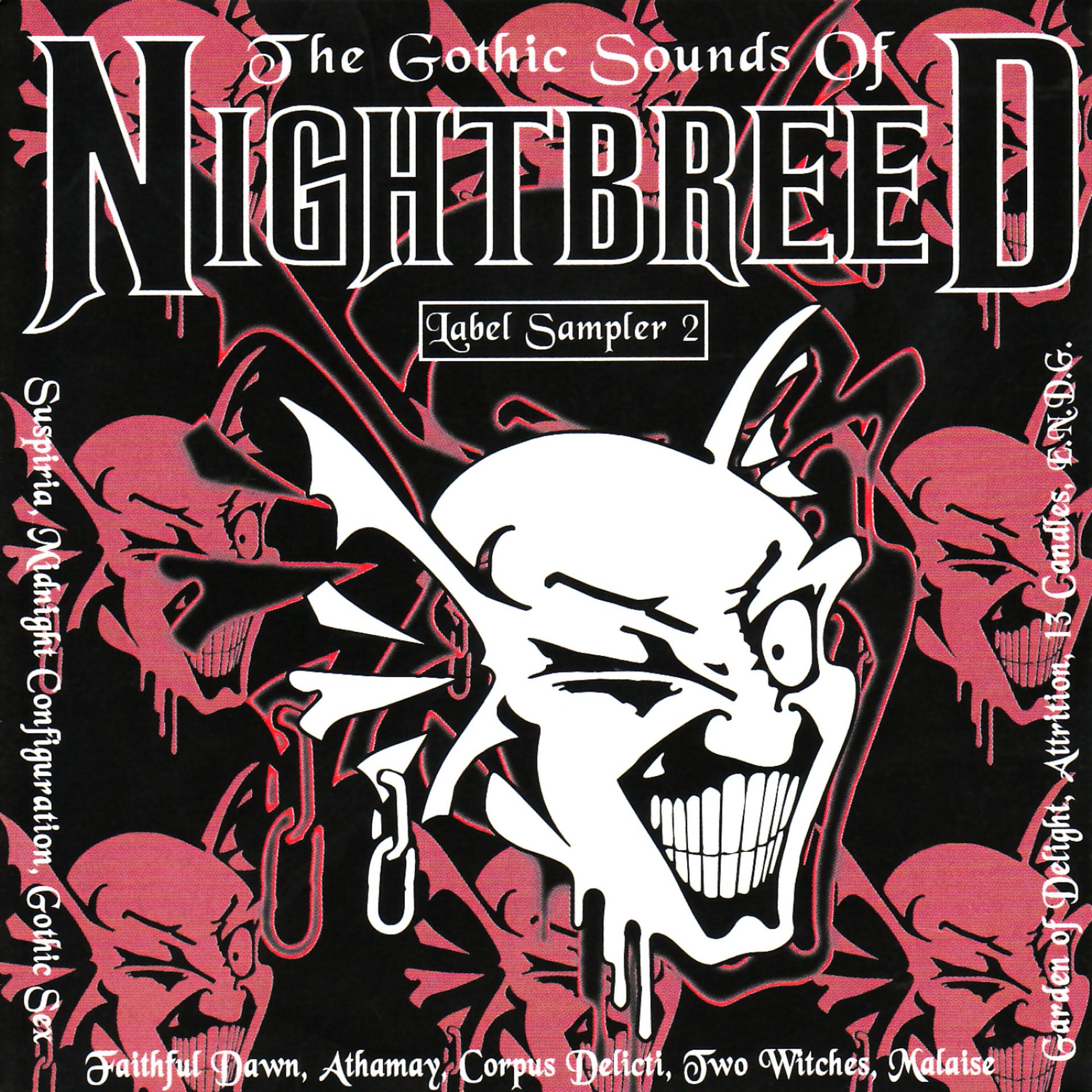 Постер альбома The Gothic Sounds of Nightbreed 2