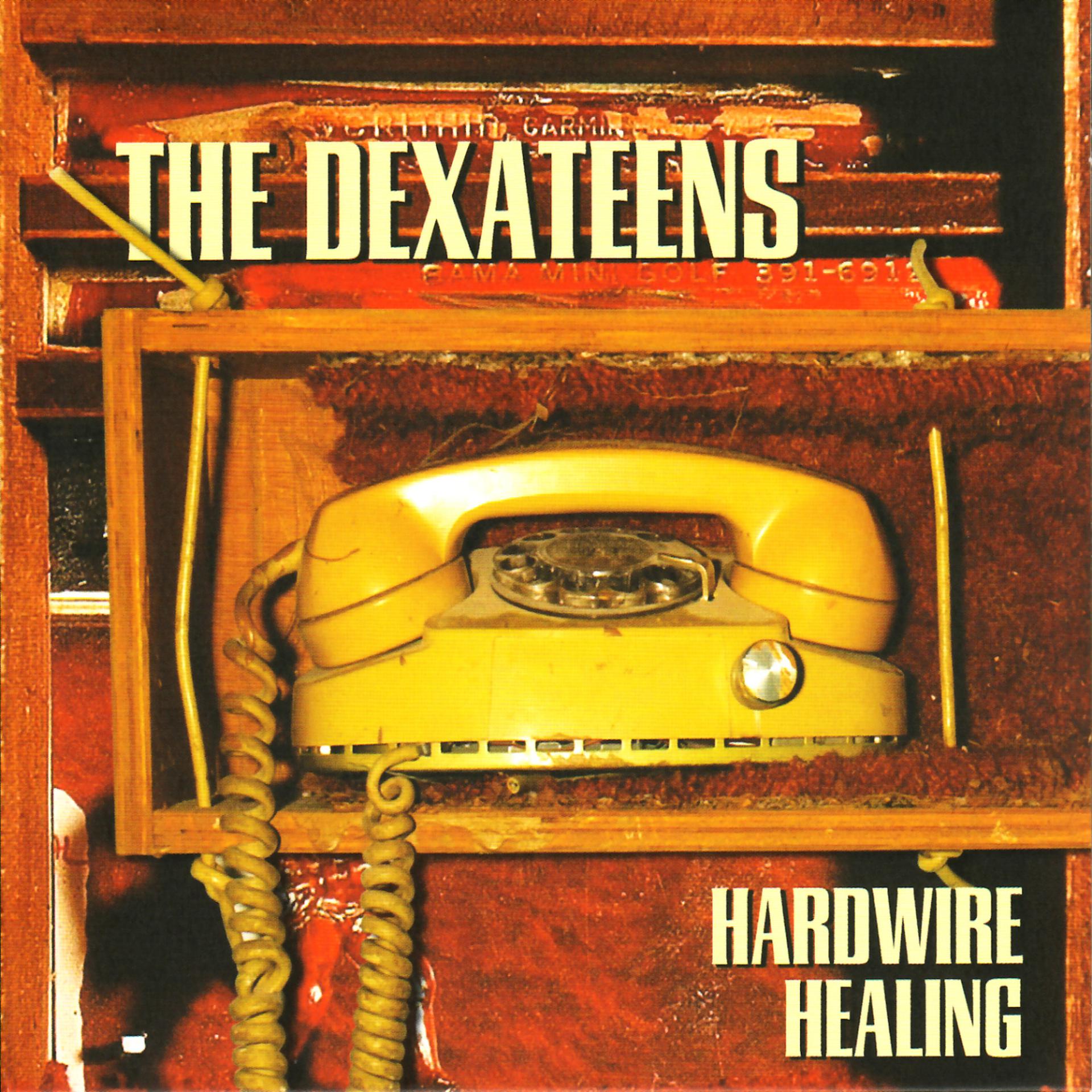 Постер альбома Hardwire Healing