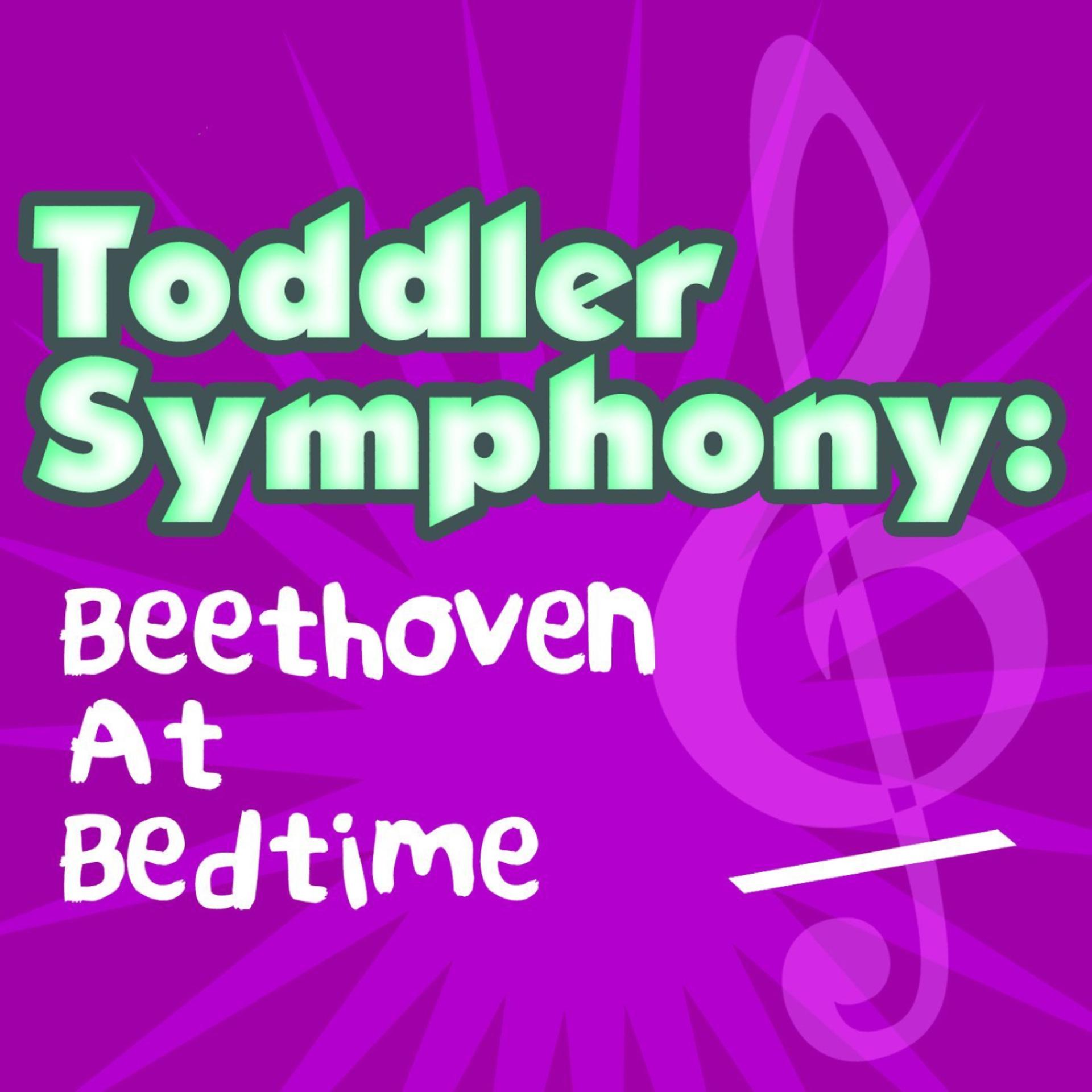 Постер альбома Toddler Symphony: Beethoven at Bedtime