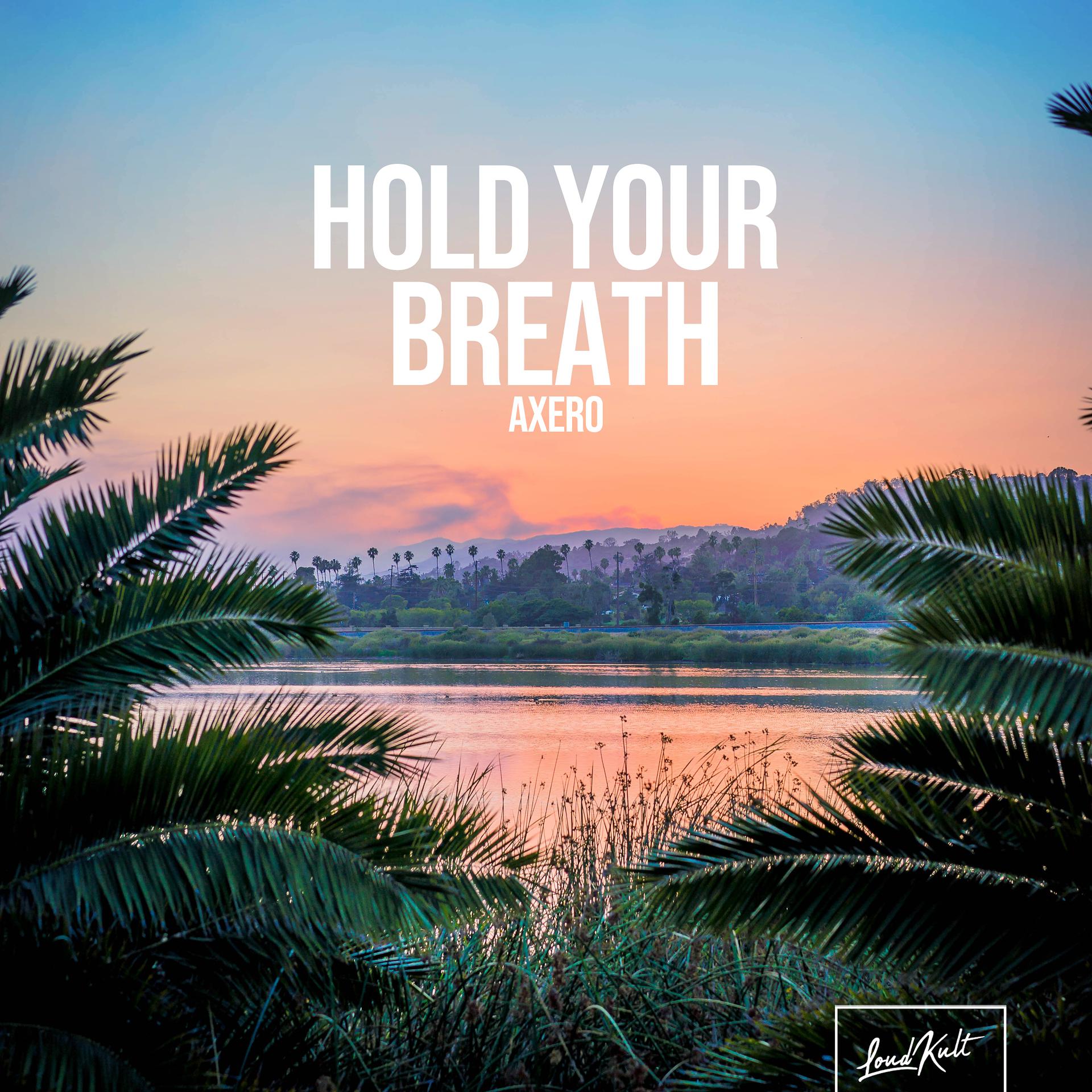 Постер альбома Hold Your Breath