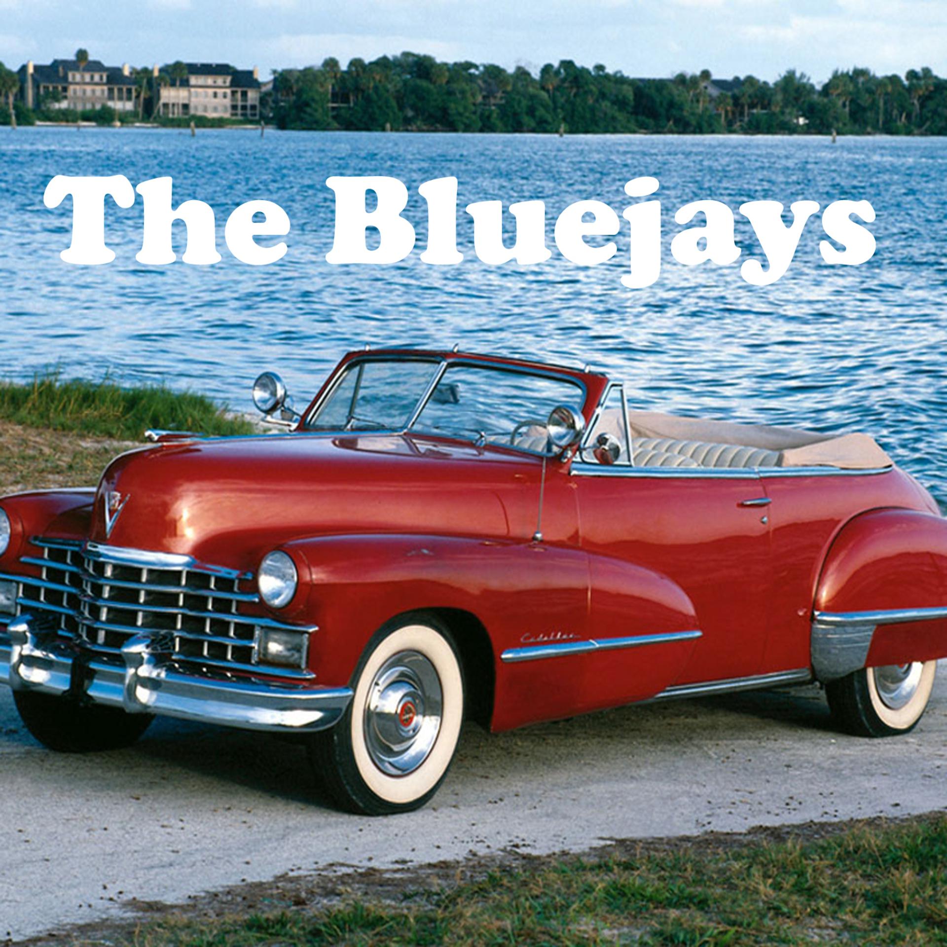 Постер альбома The Bluejays