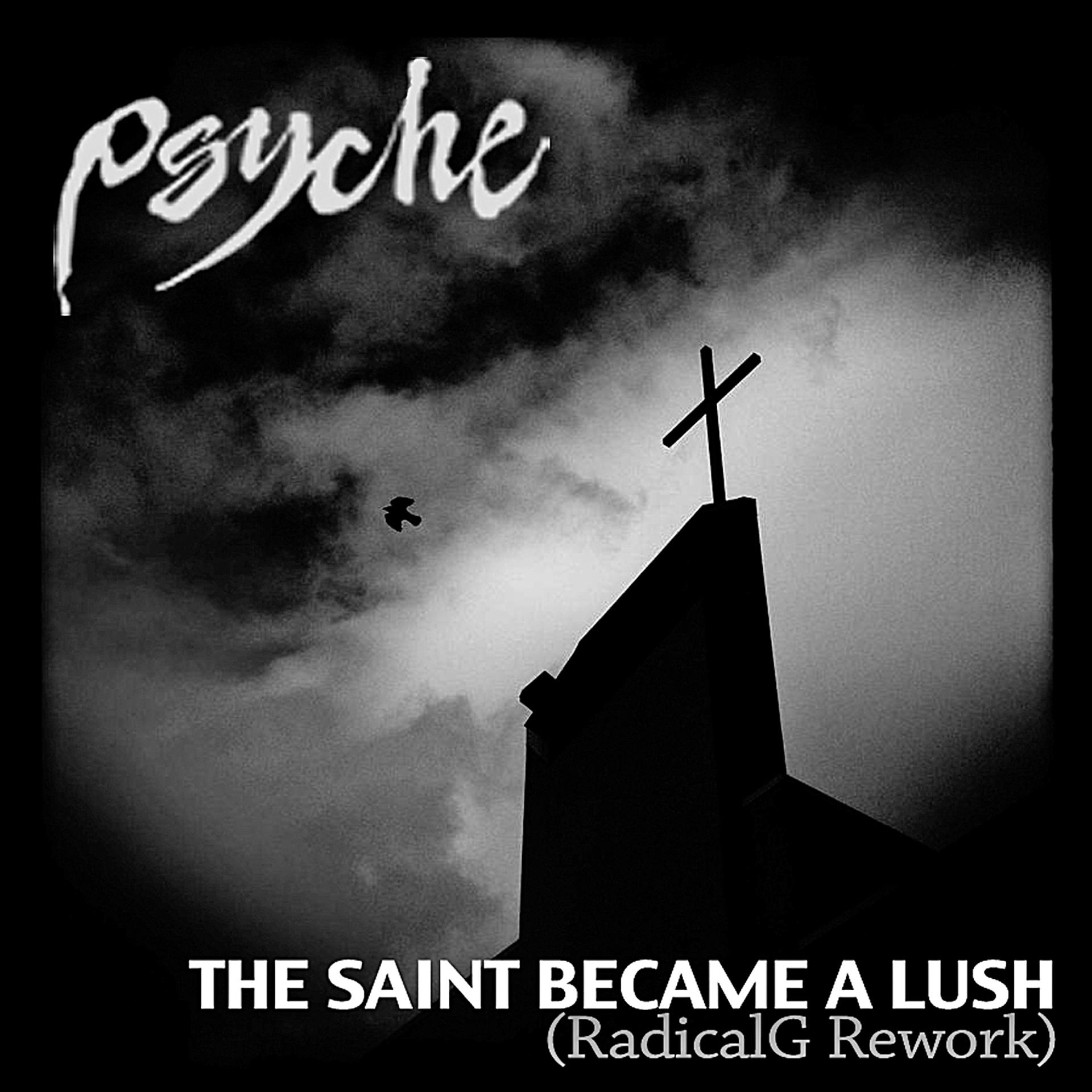 Постер альбома The Saint Became a Lush (Radical.G Rework)