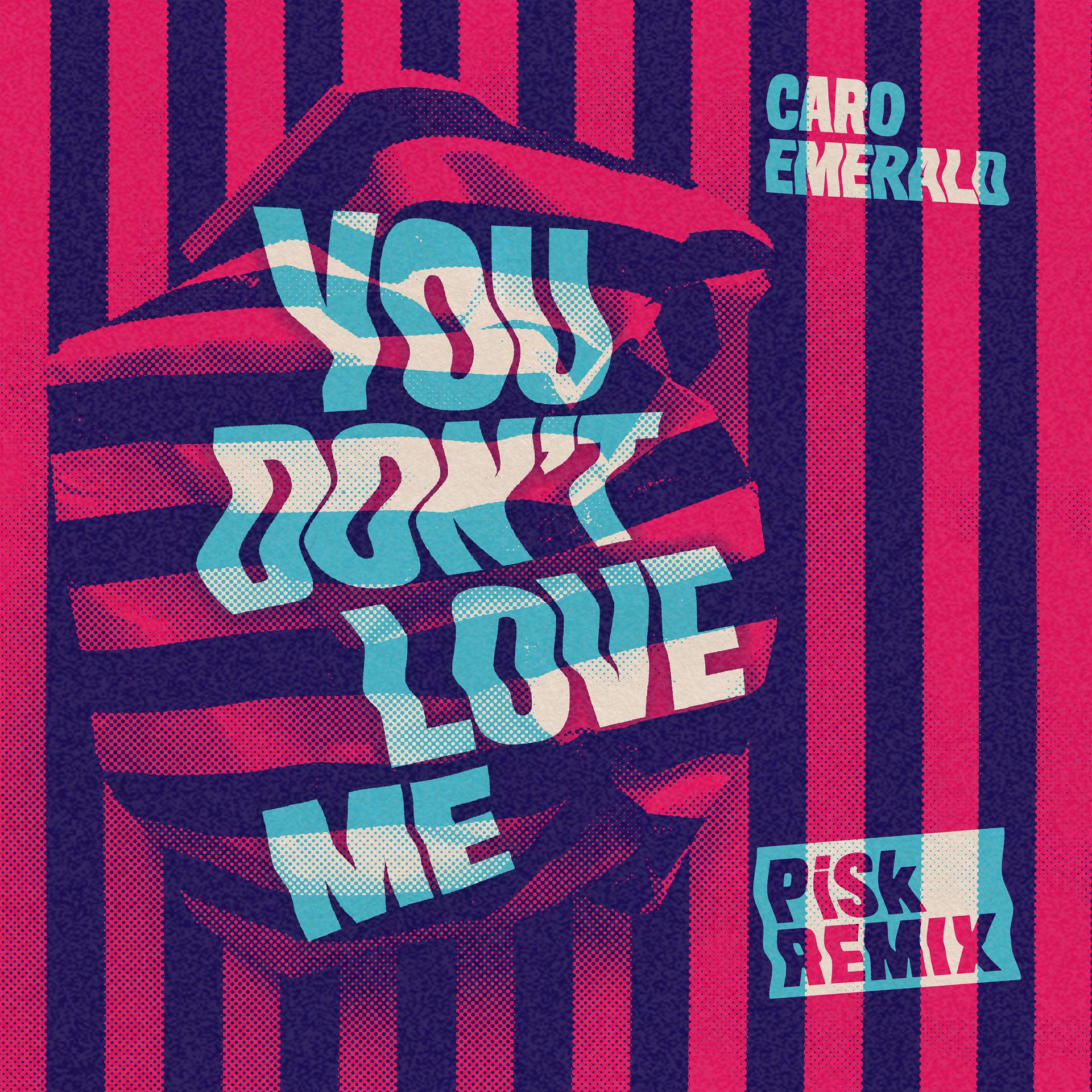 Постер альбома You Don't Love Me (Pisk Remix)