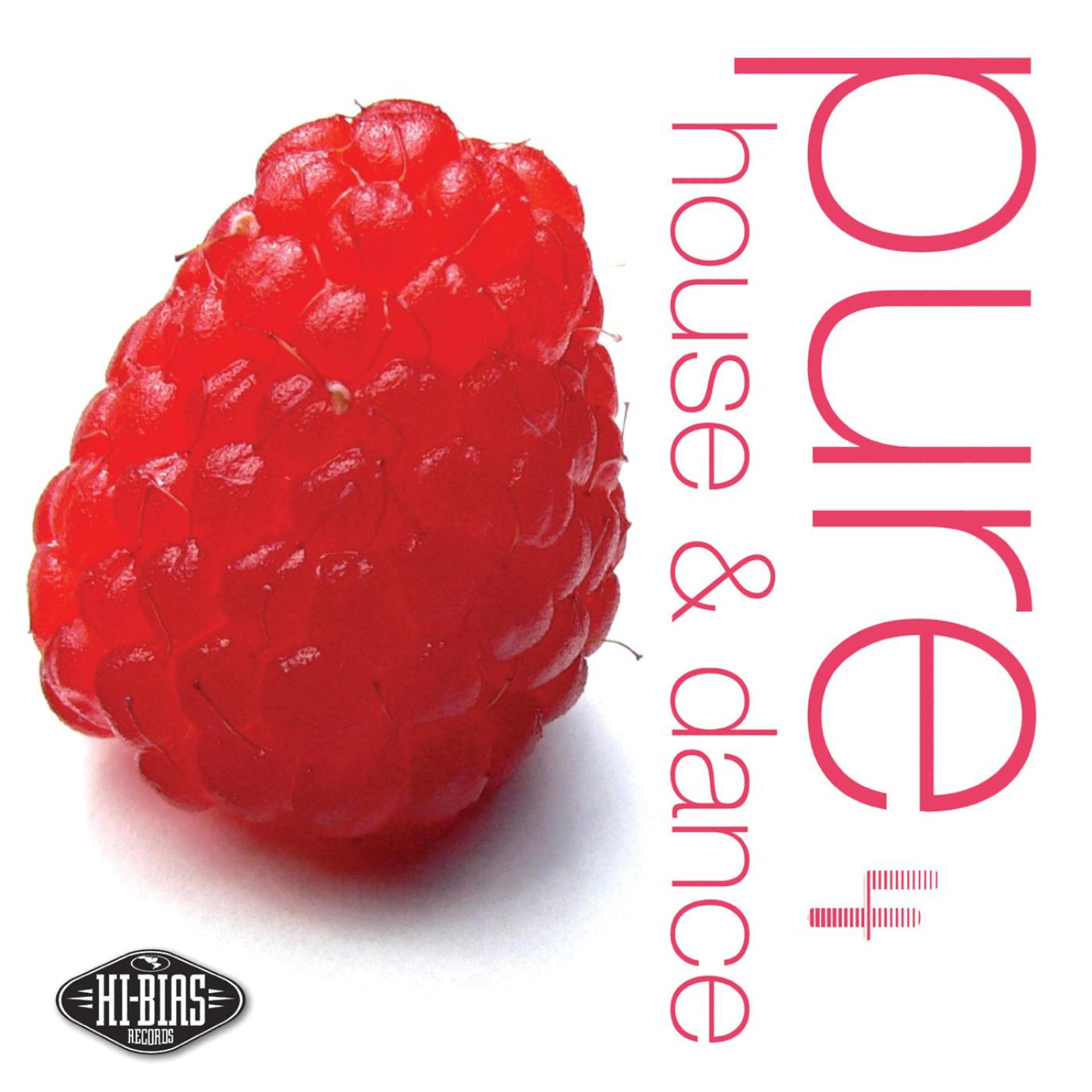 Постер альбома Hi-Bias: Pure House & Dance 4