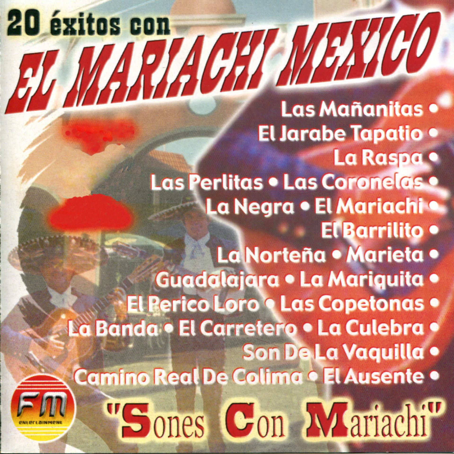 Постер альбома 20 Éxitos con El Mariachi Mexico - Sones Con Mariachi