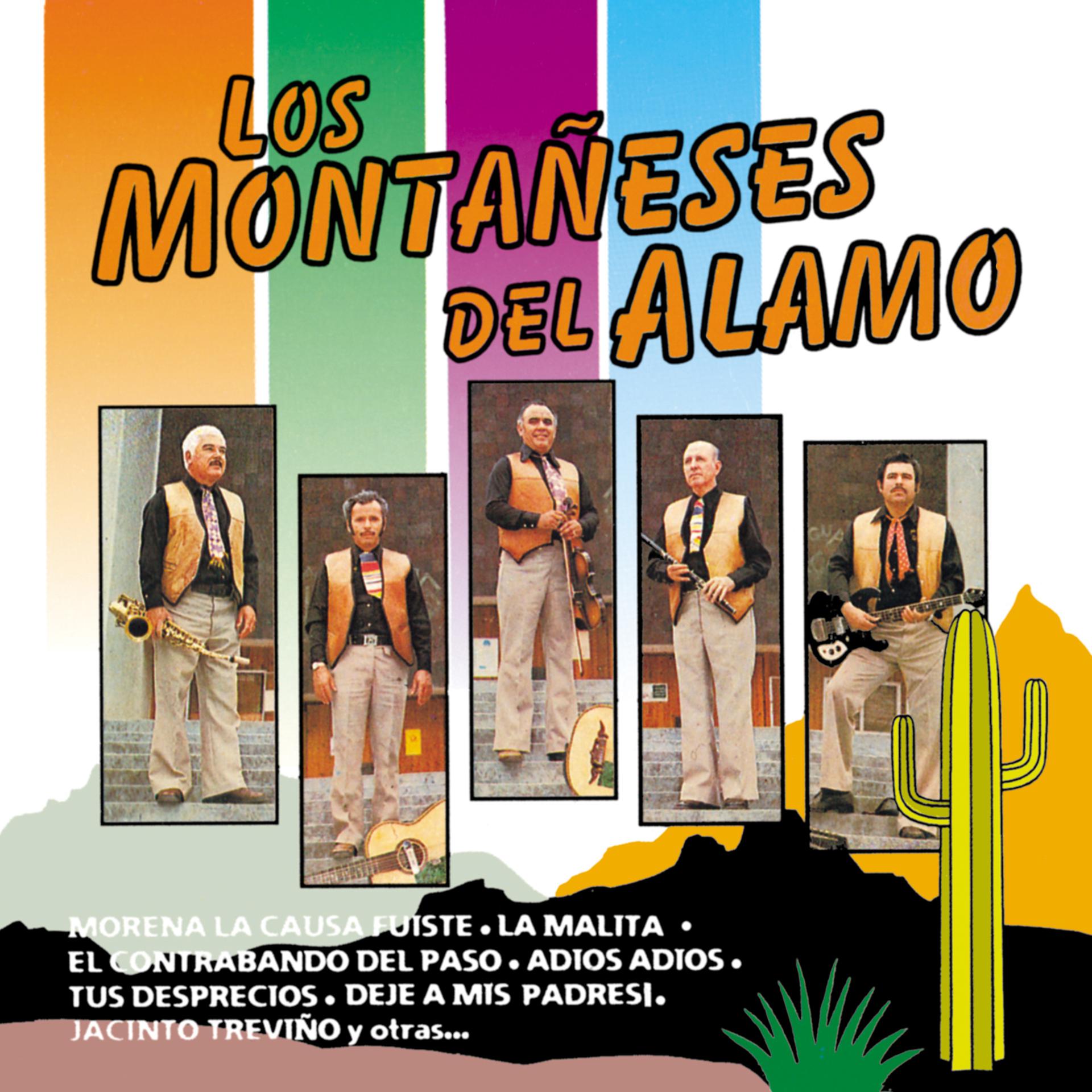 Постер альбома Los Montañeses del Álamo