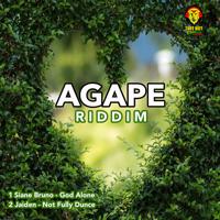 Постер альбома Agape Riddim