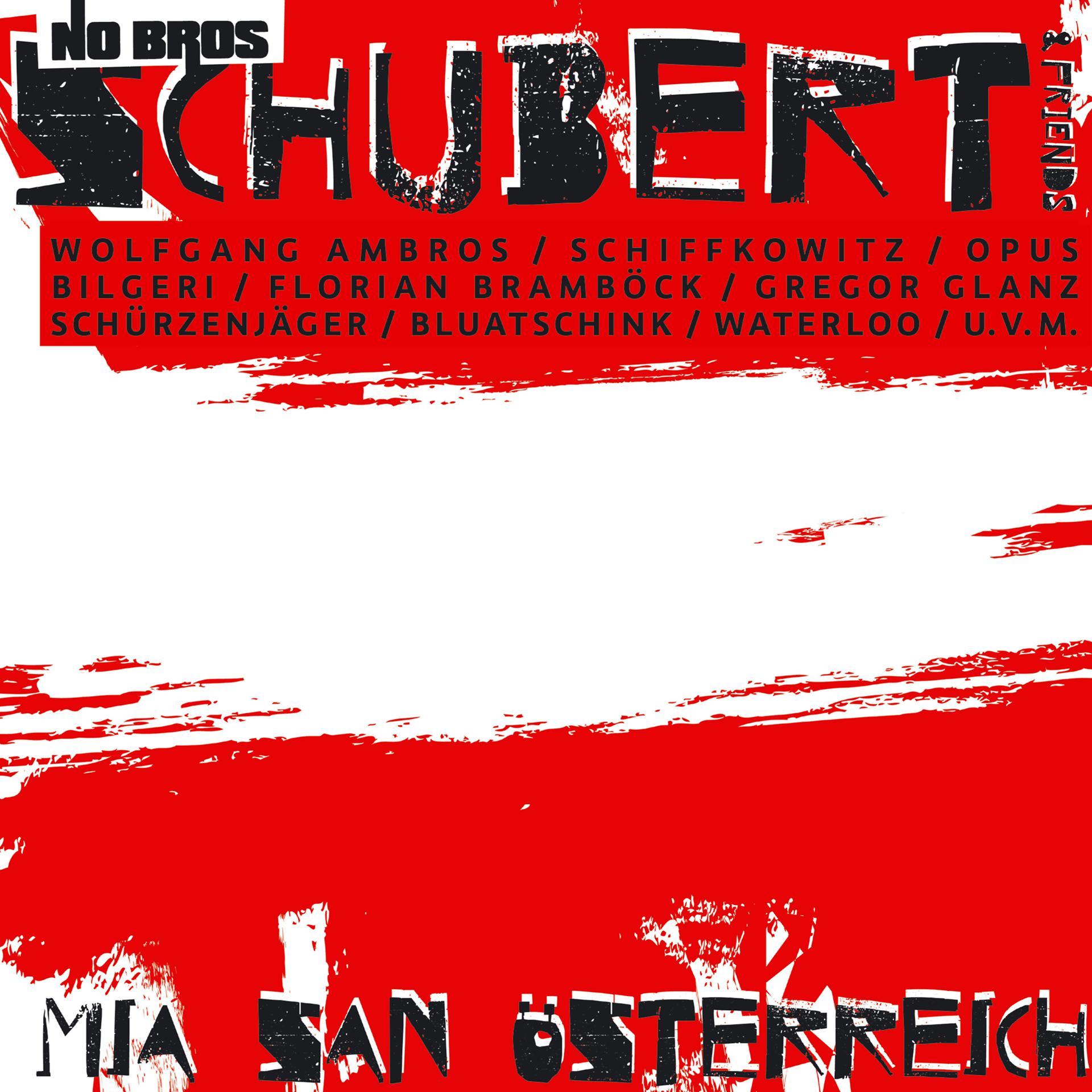 Постер альбома Mia san Österreich (Austro Pop Version)