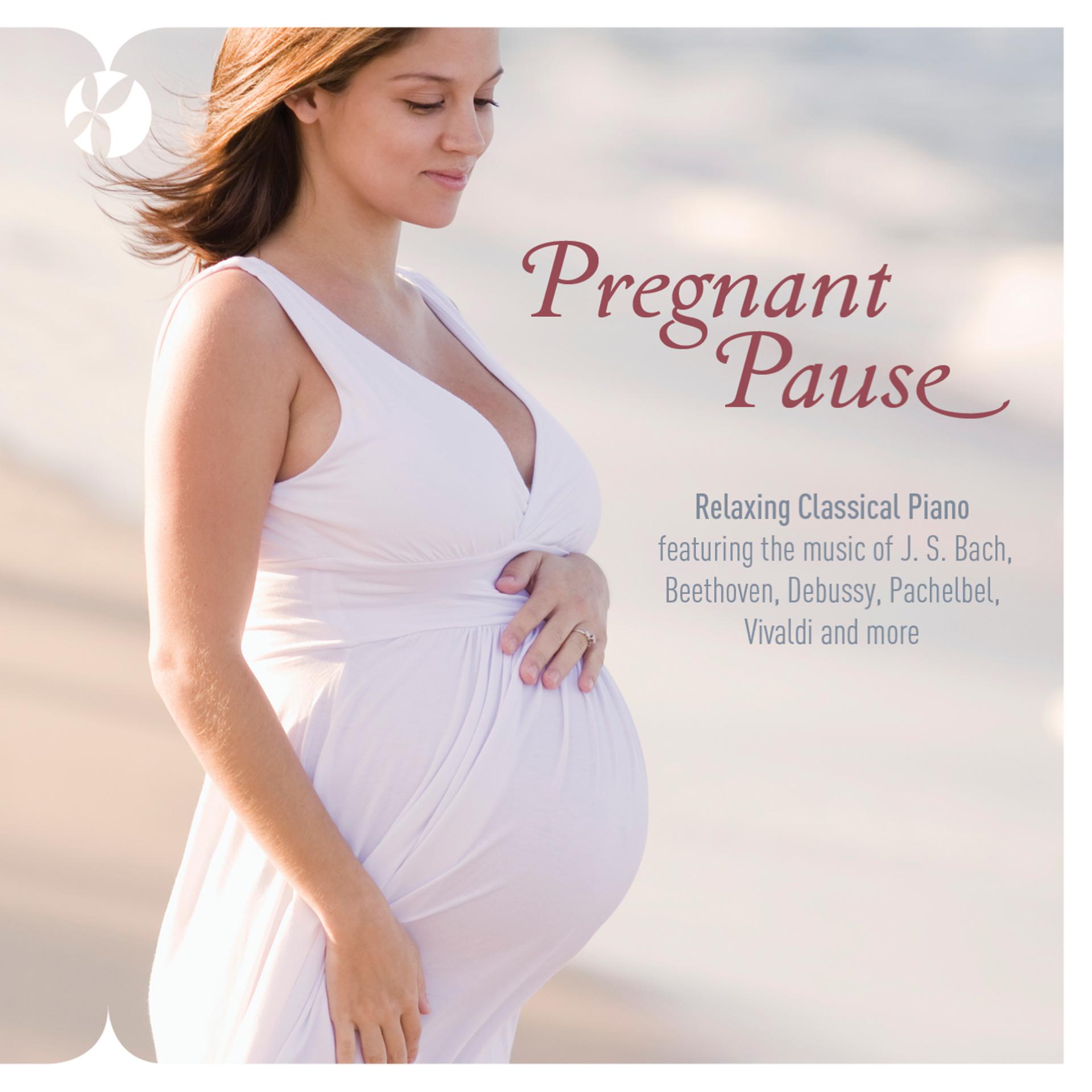 Постер альбома Pregnant Pause