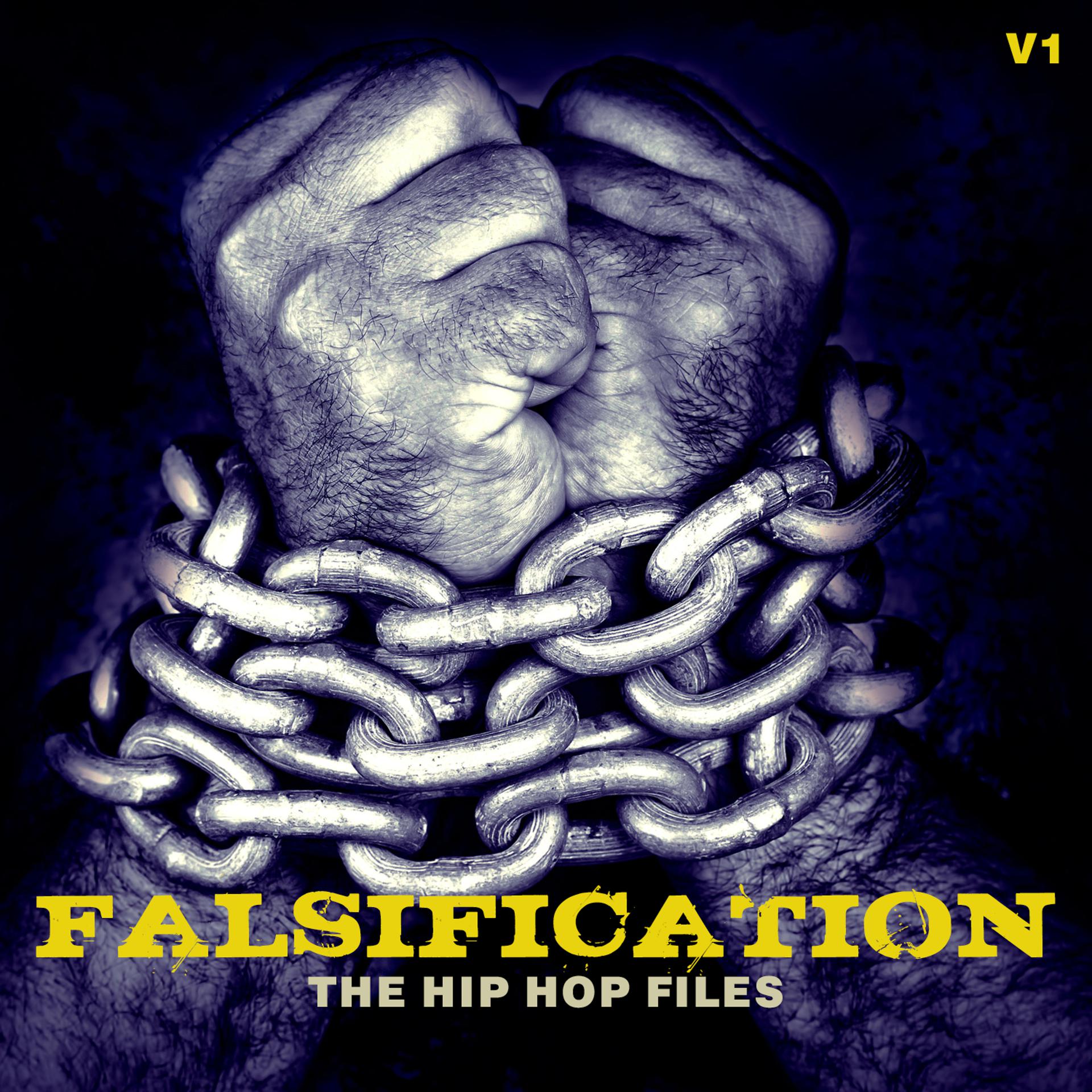 Постер альбома Falsification: The Hip Hop Files, Vol. 1