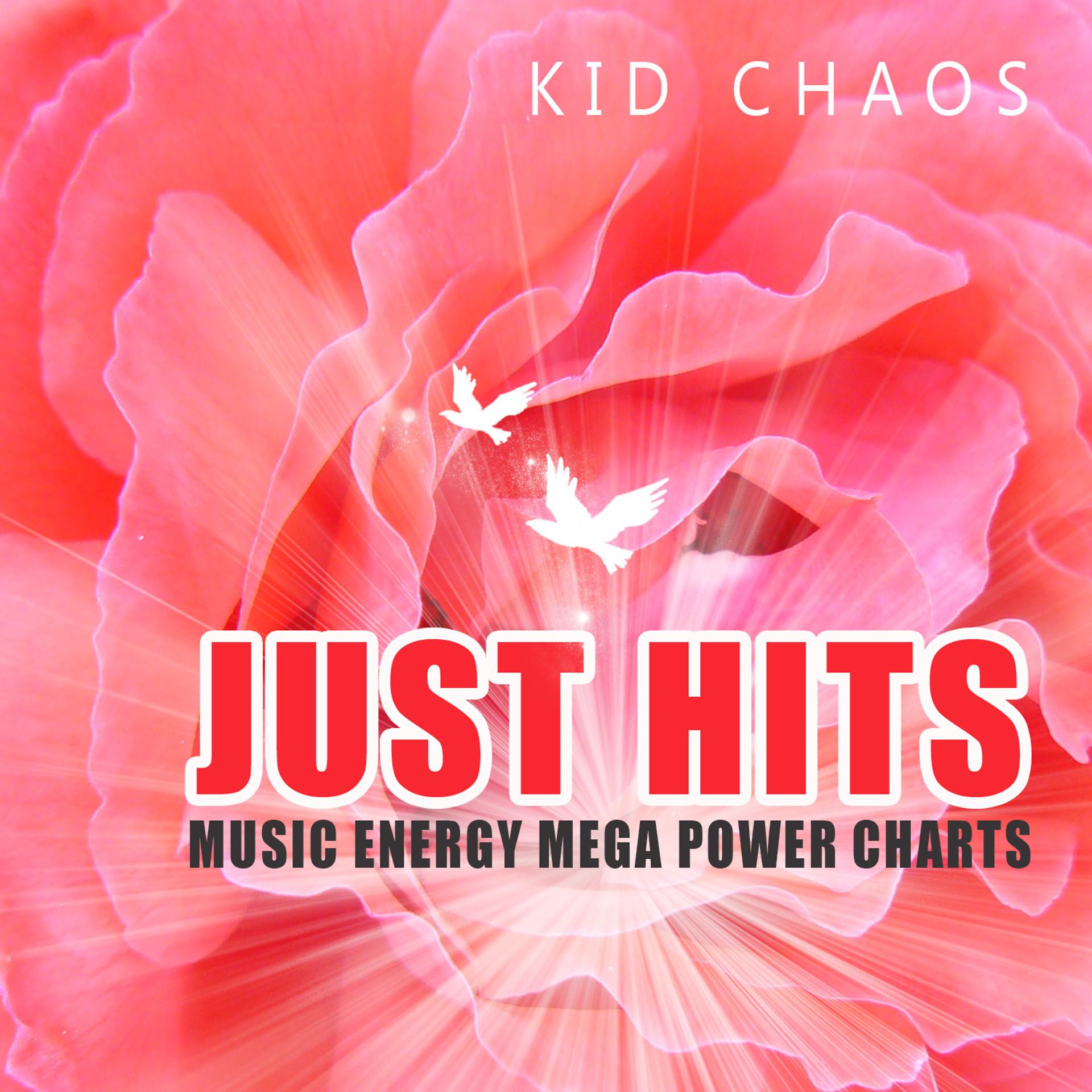 Постер альбома Just Hits (Music Energy Mega Power)