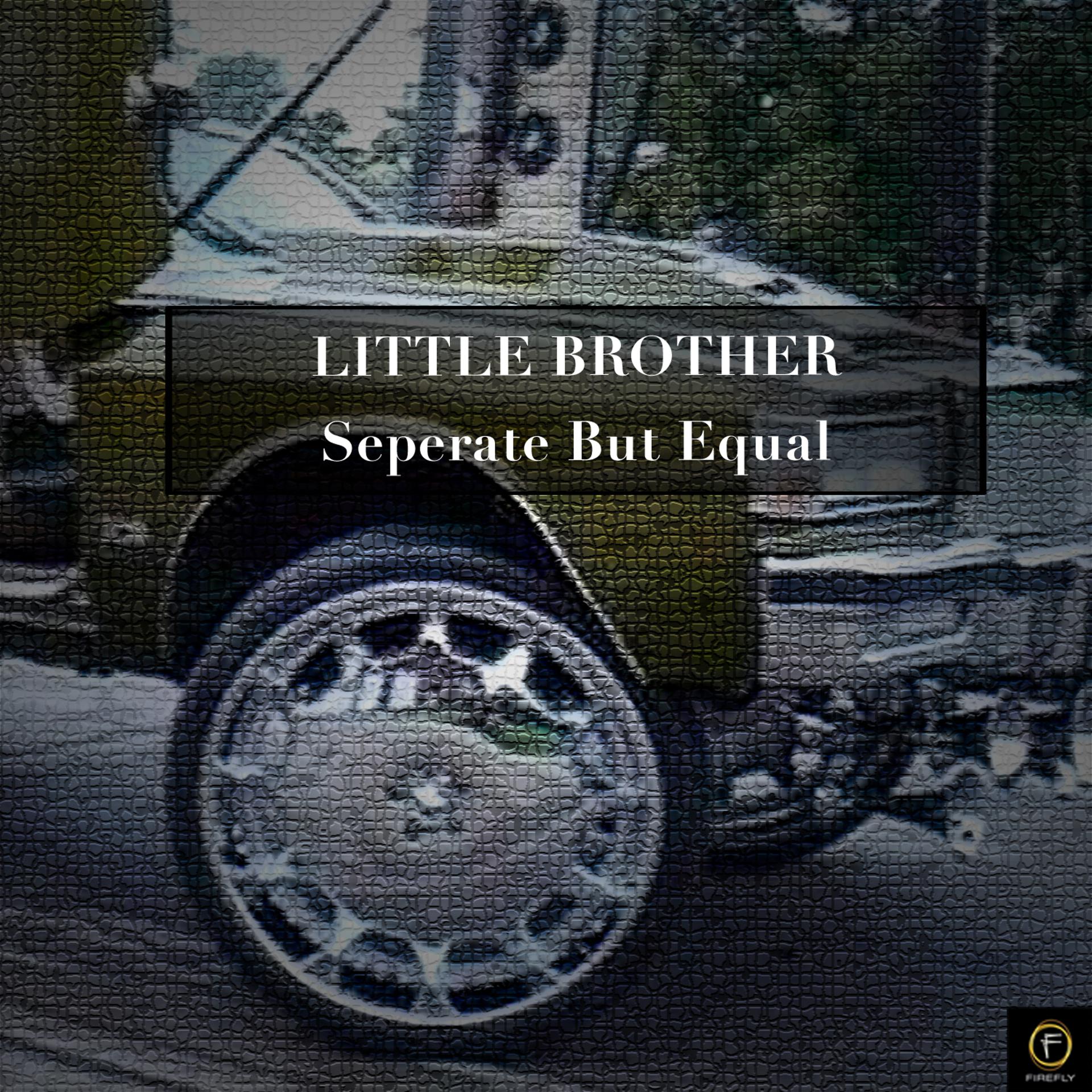 Постер альбома Little Brother, Separate But Equal