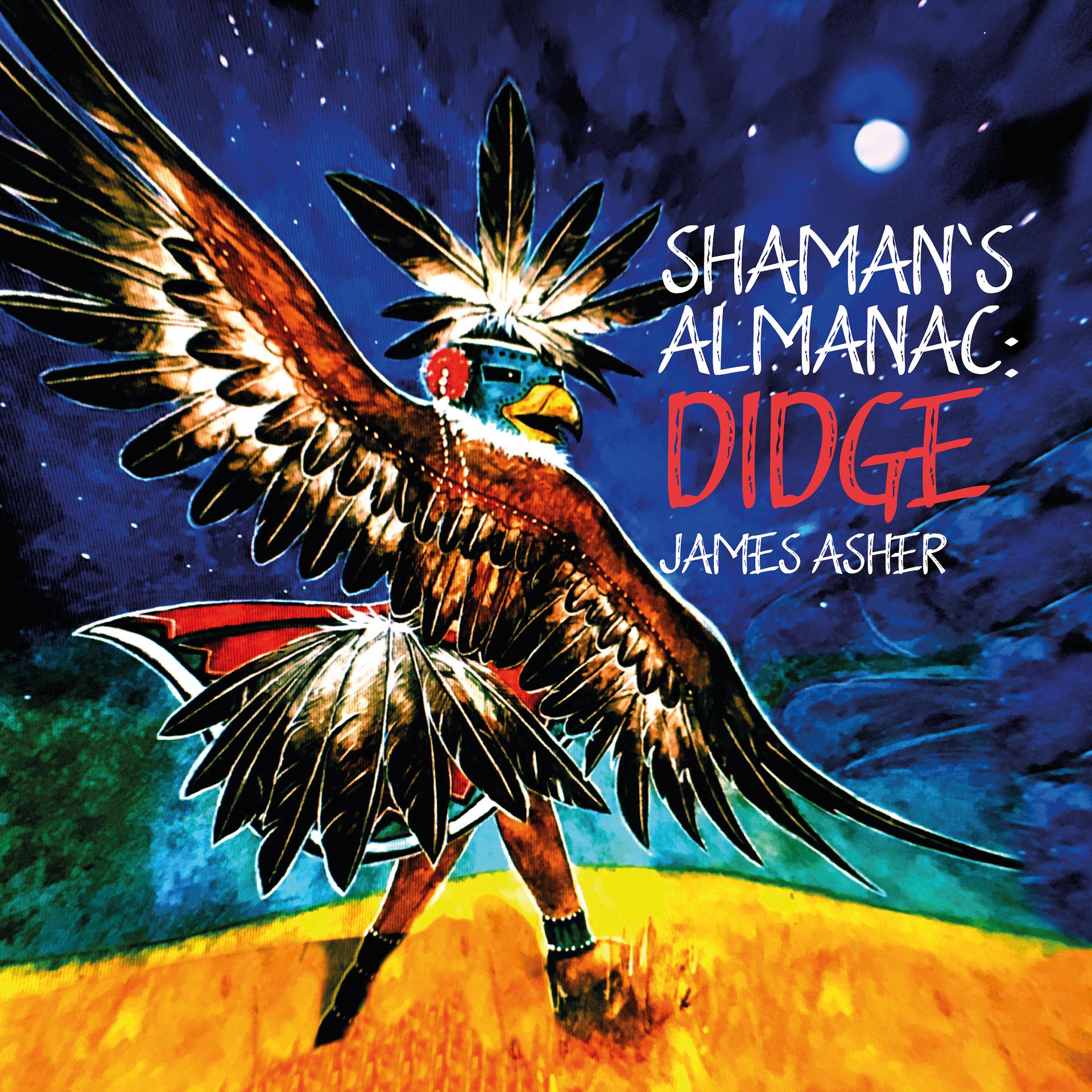 Постер альбома Shaman's Almanac: Didge