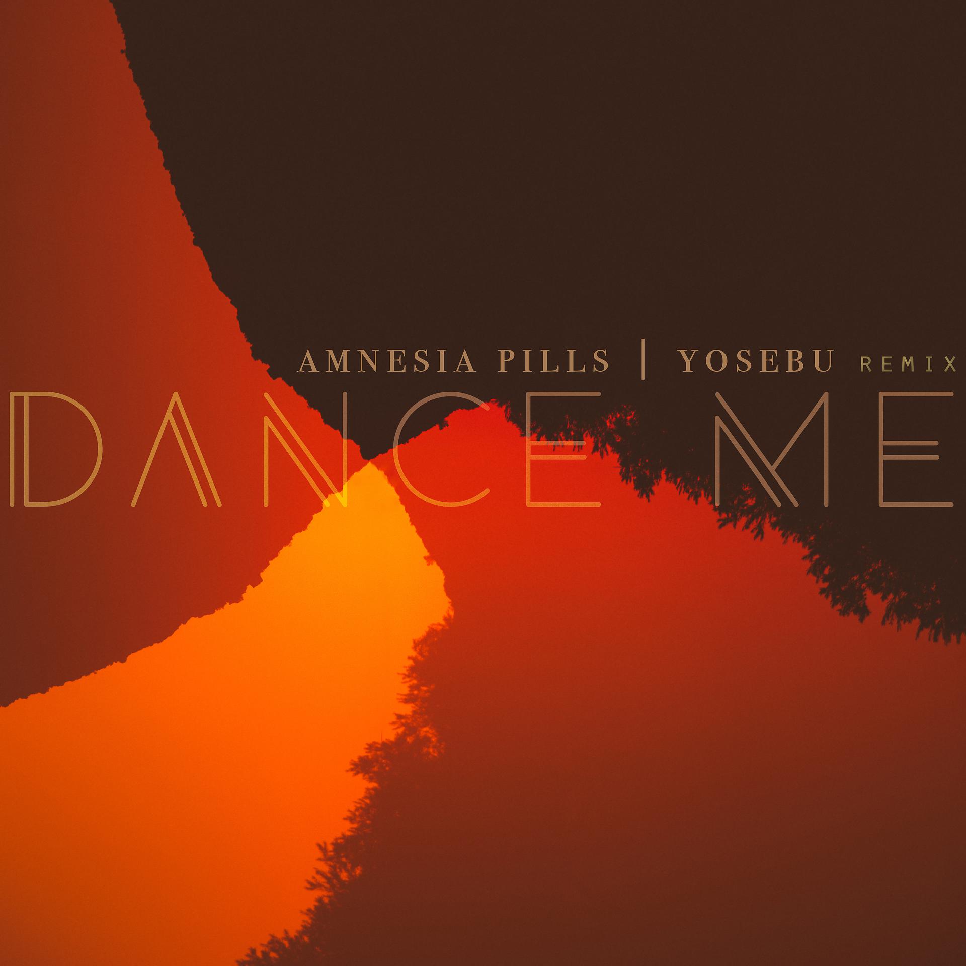 Постер альбома Dance Me (Yosebu Remix)