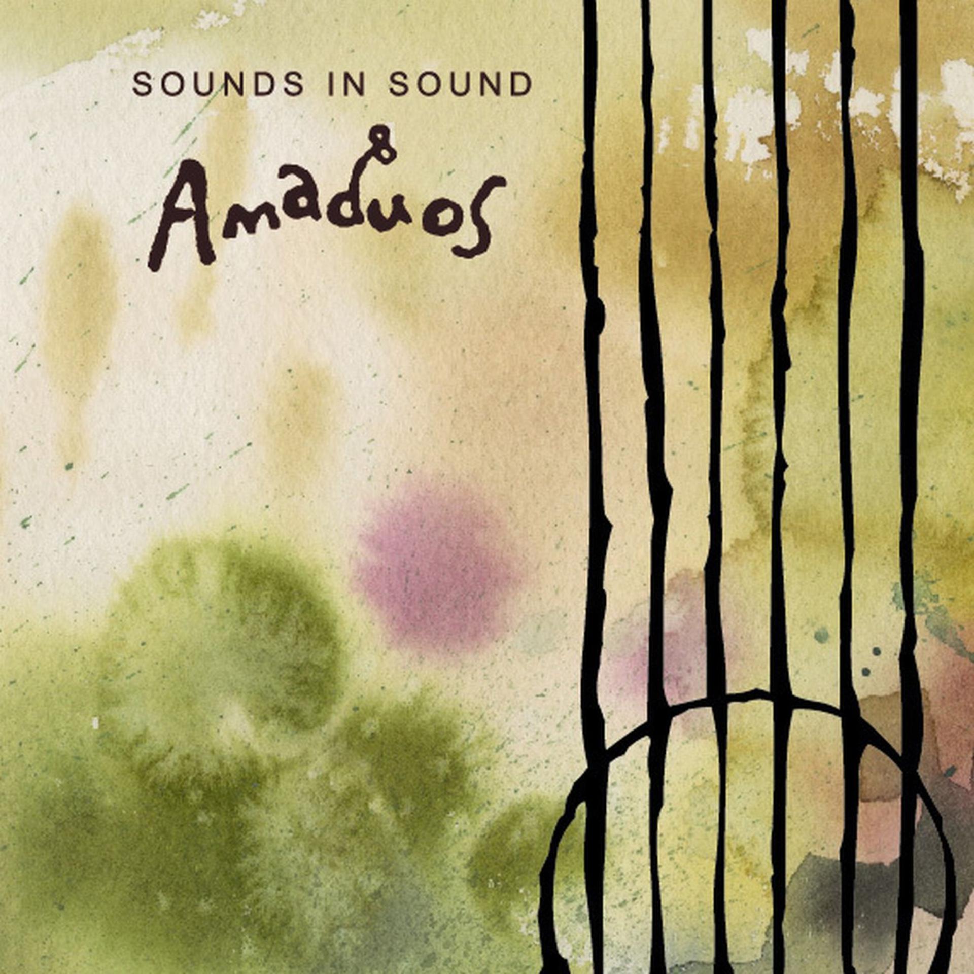 Постер альбома Sounds In Sound