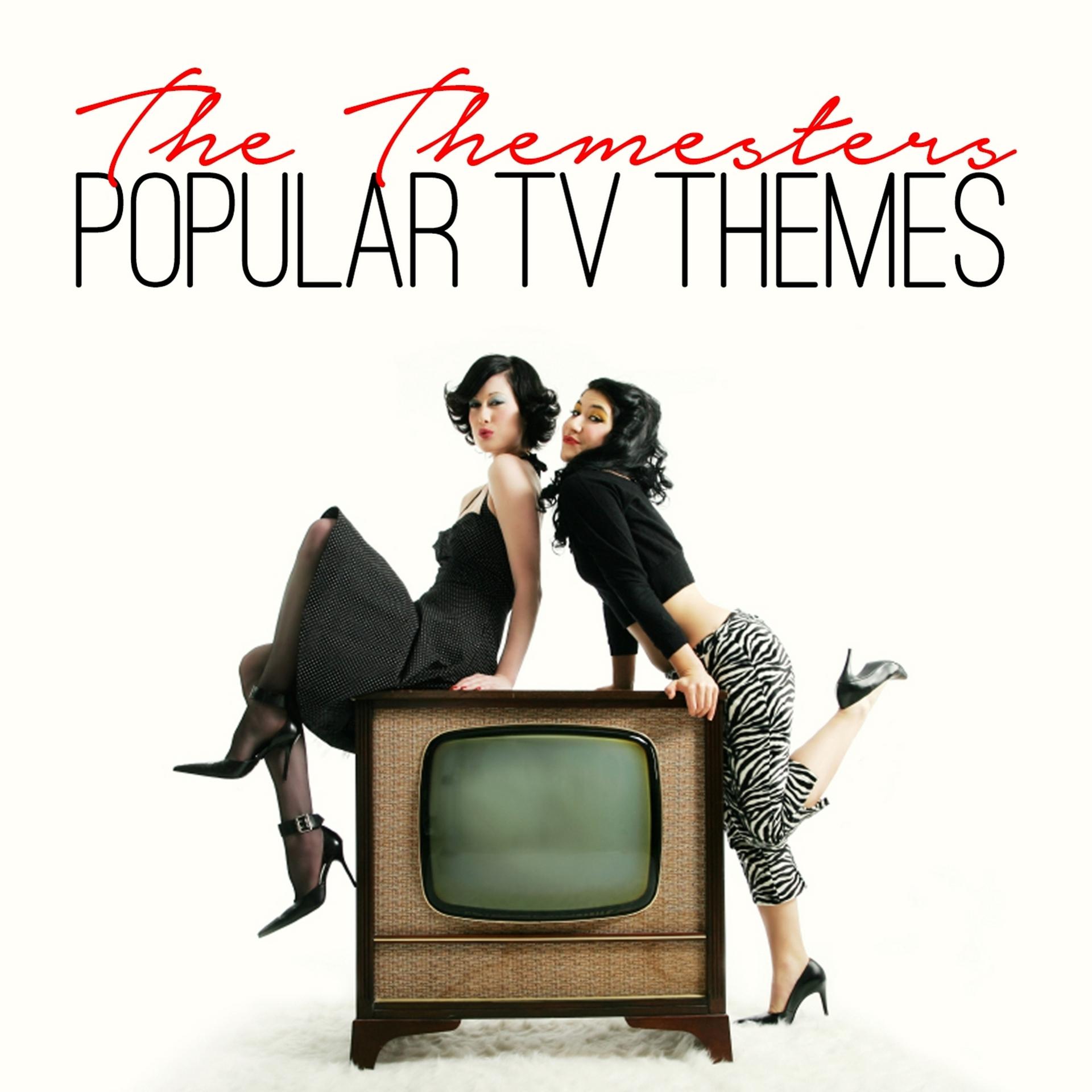 Постер альбома Popular Tv Themes