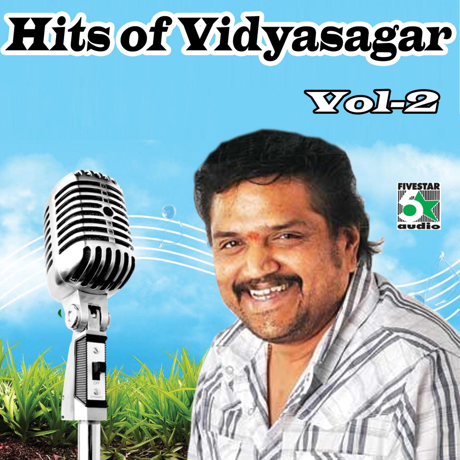 Постер альбома Hits of Vidyasagar, Vol.2