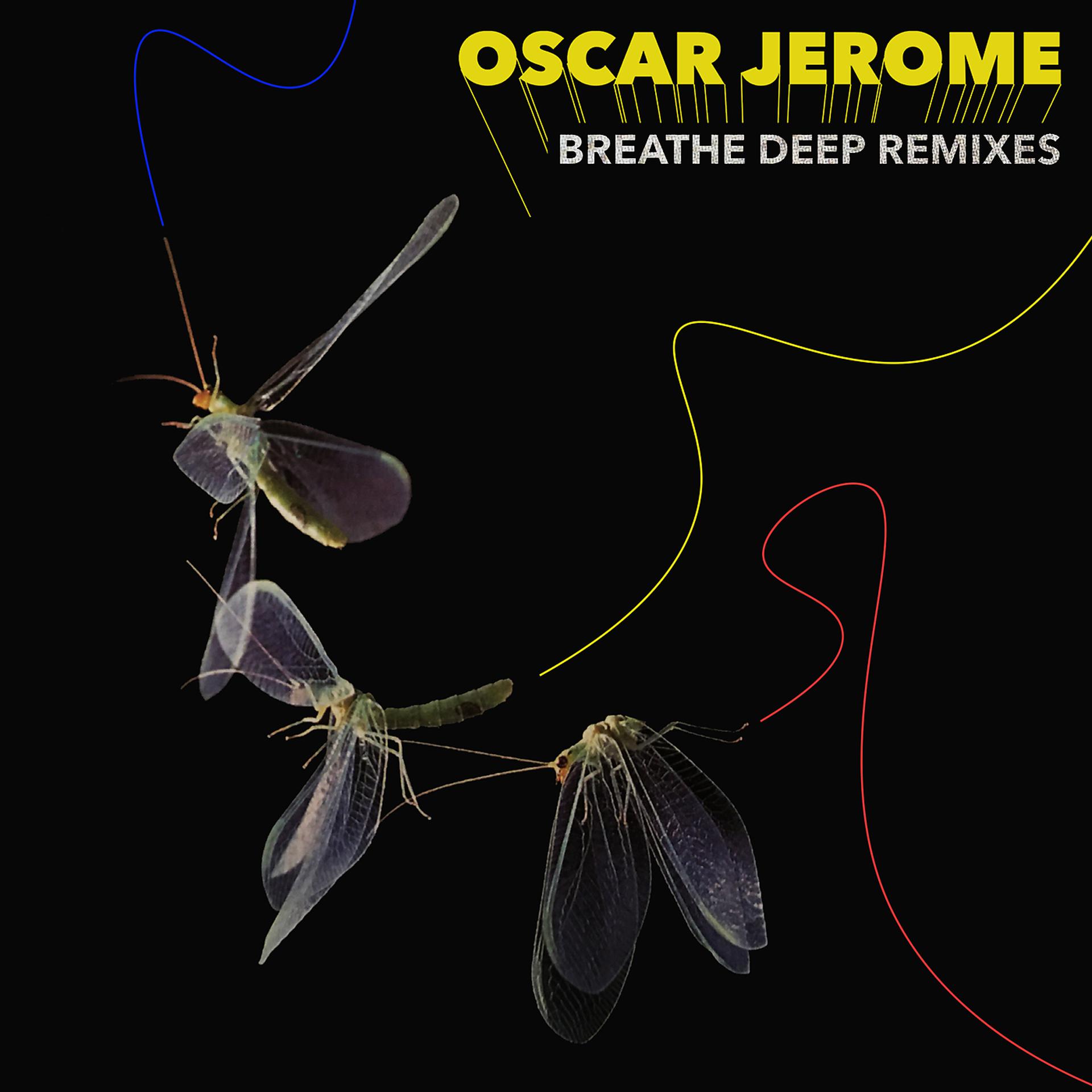 Постер альбома Breathe Deep Remixes