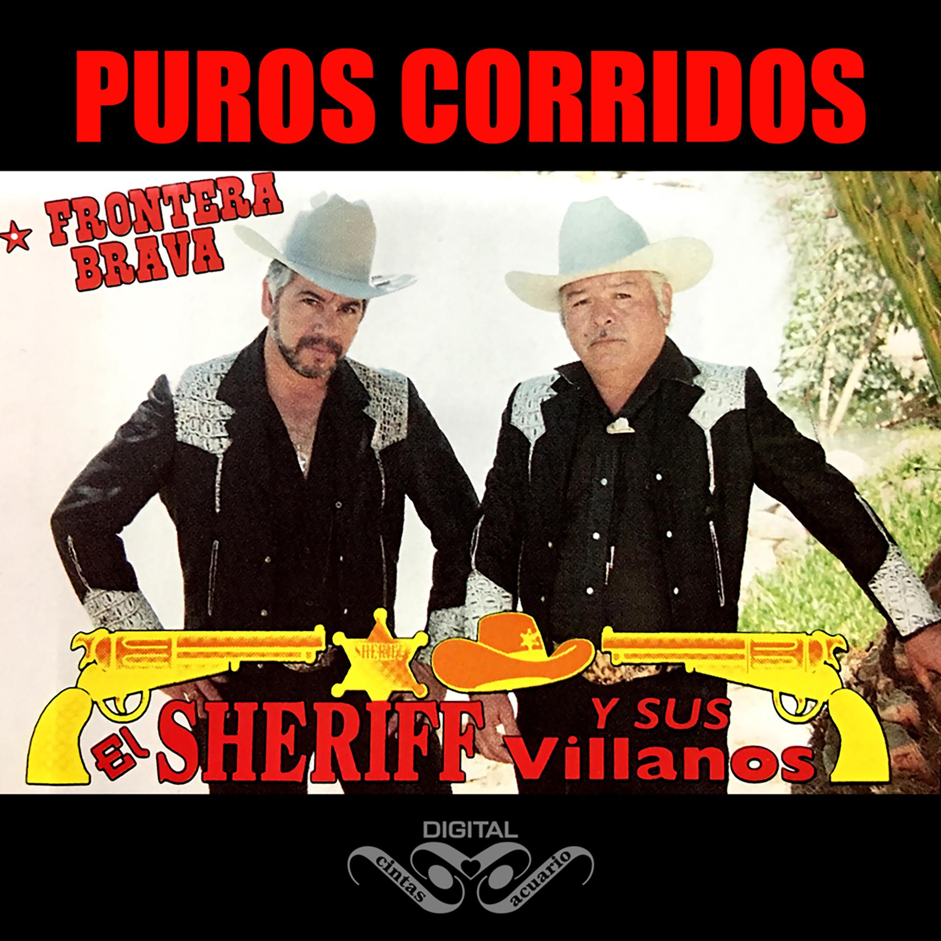 Постер альбома Puros Corridos