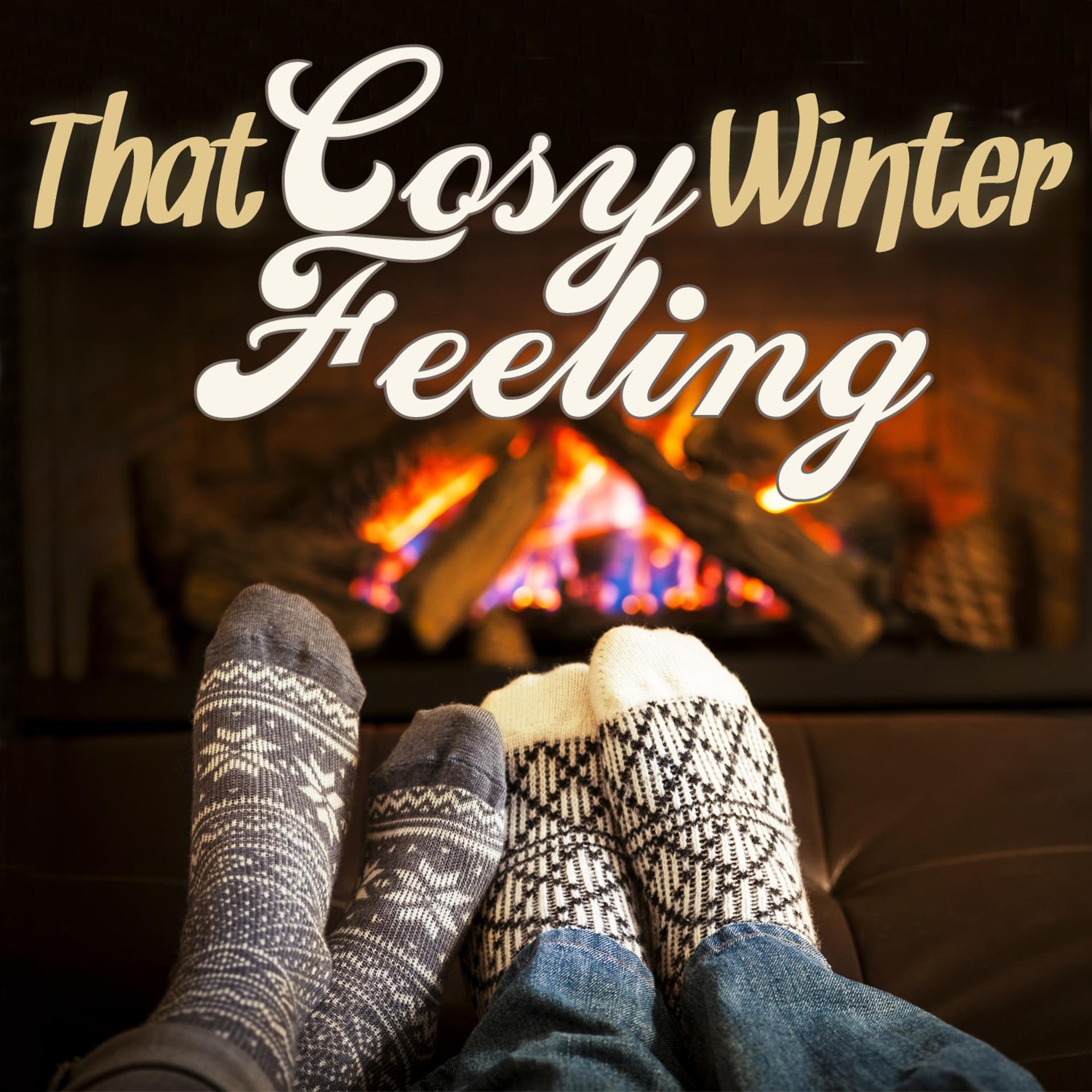 Постер альбома That Cosy Winter Feeling