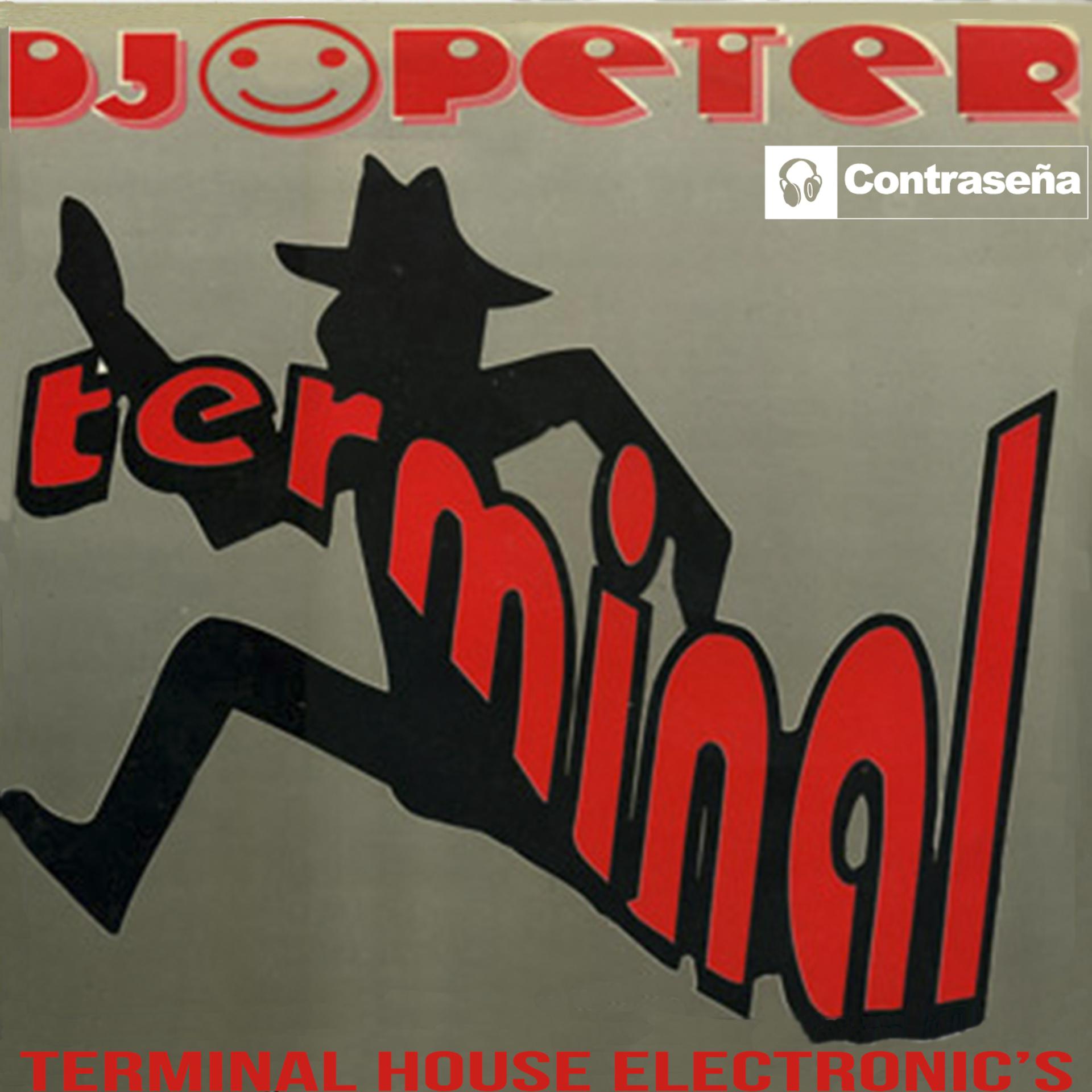 Постер альбома Terminal House Electronic's